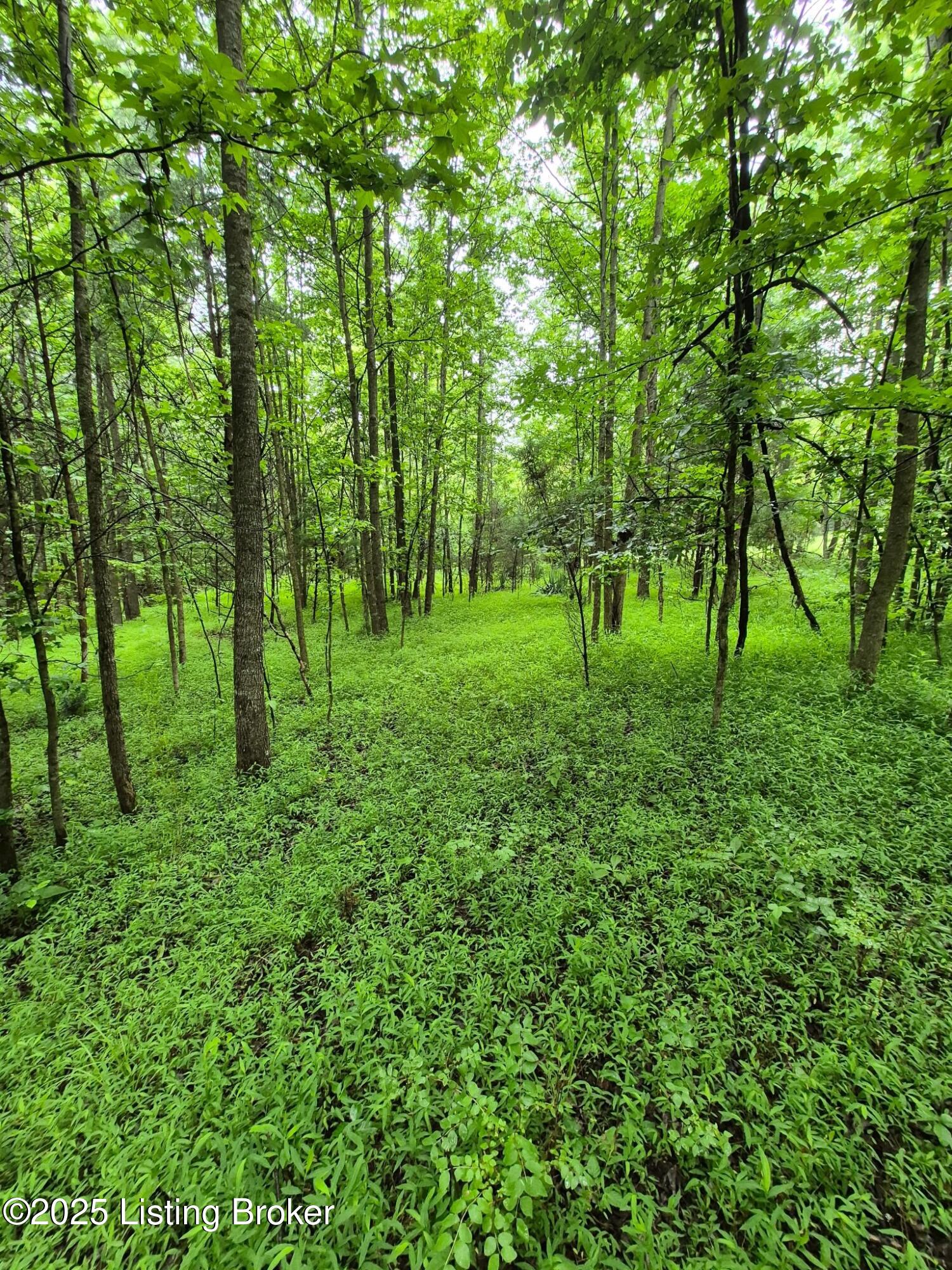 0 Icetown Rd Property Photo 15