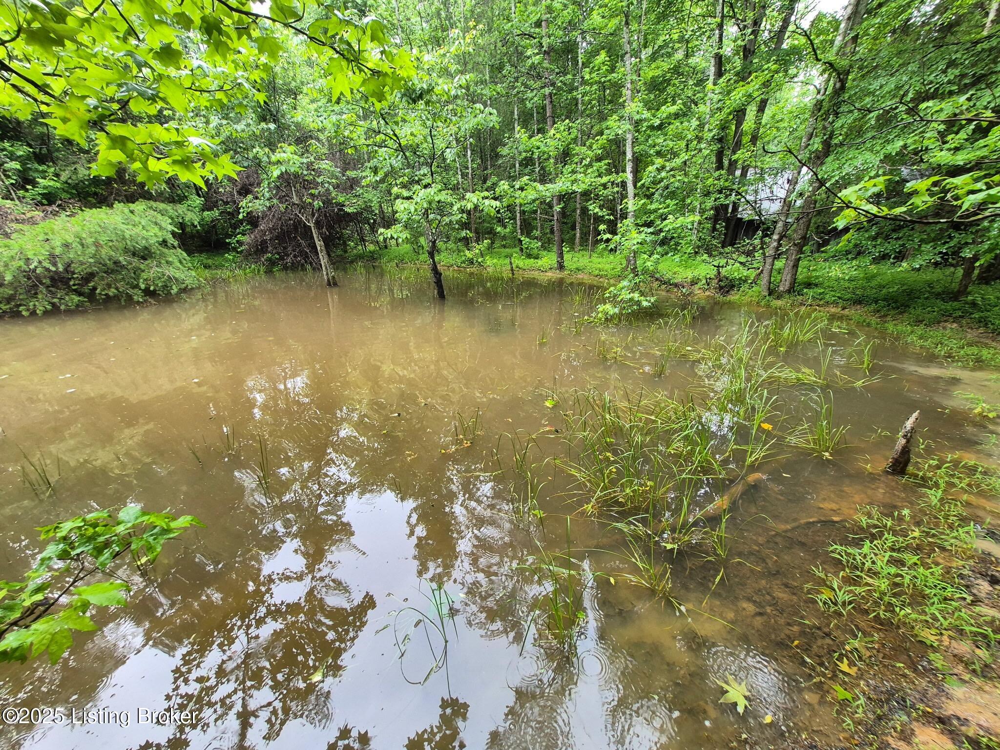 0 Icetown Rd Property Photo 16