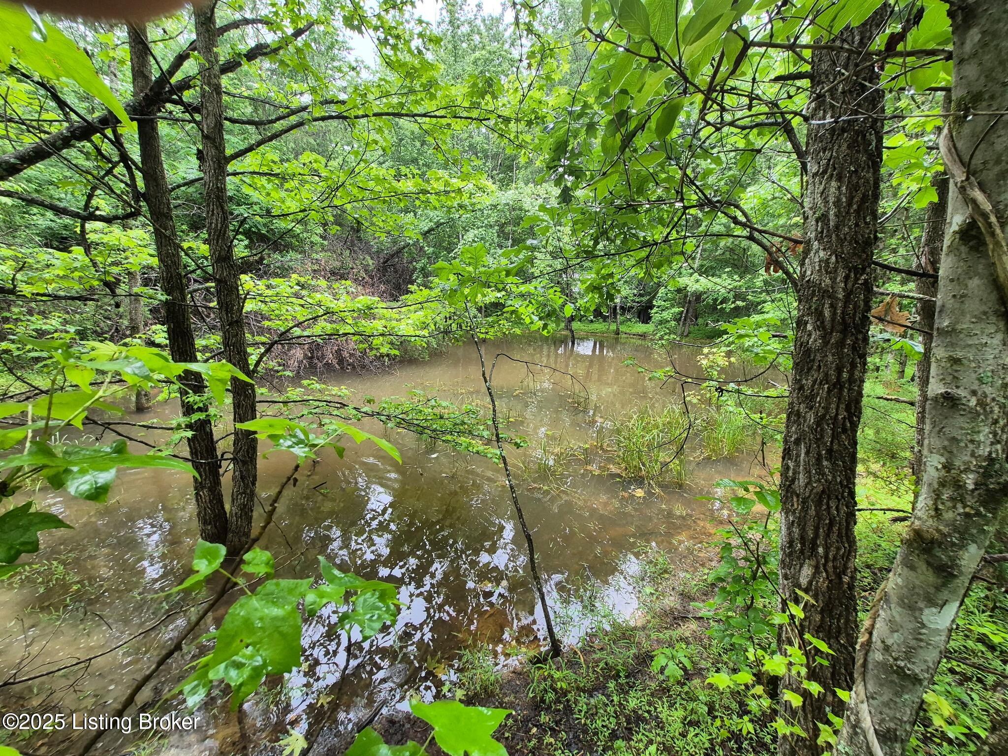 0 Icetown Rd Property Photo 18