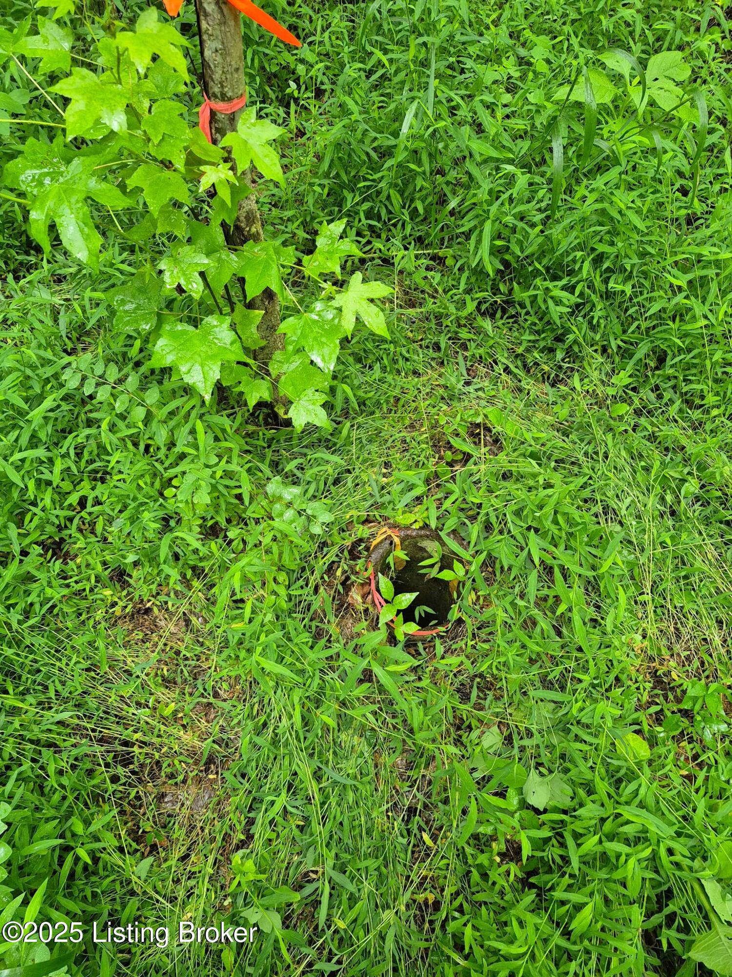 0 Icetown Rd Property Photo 19