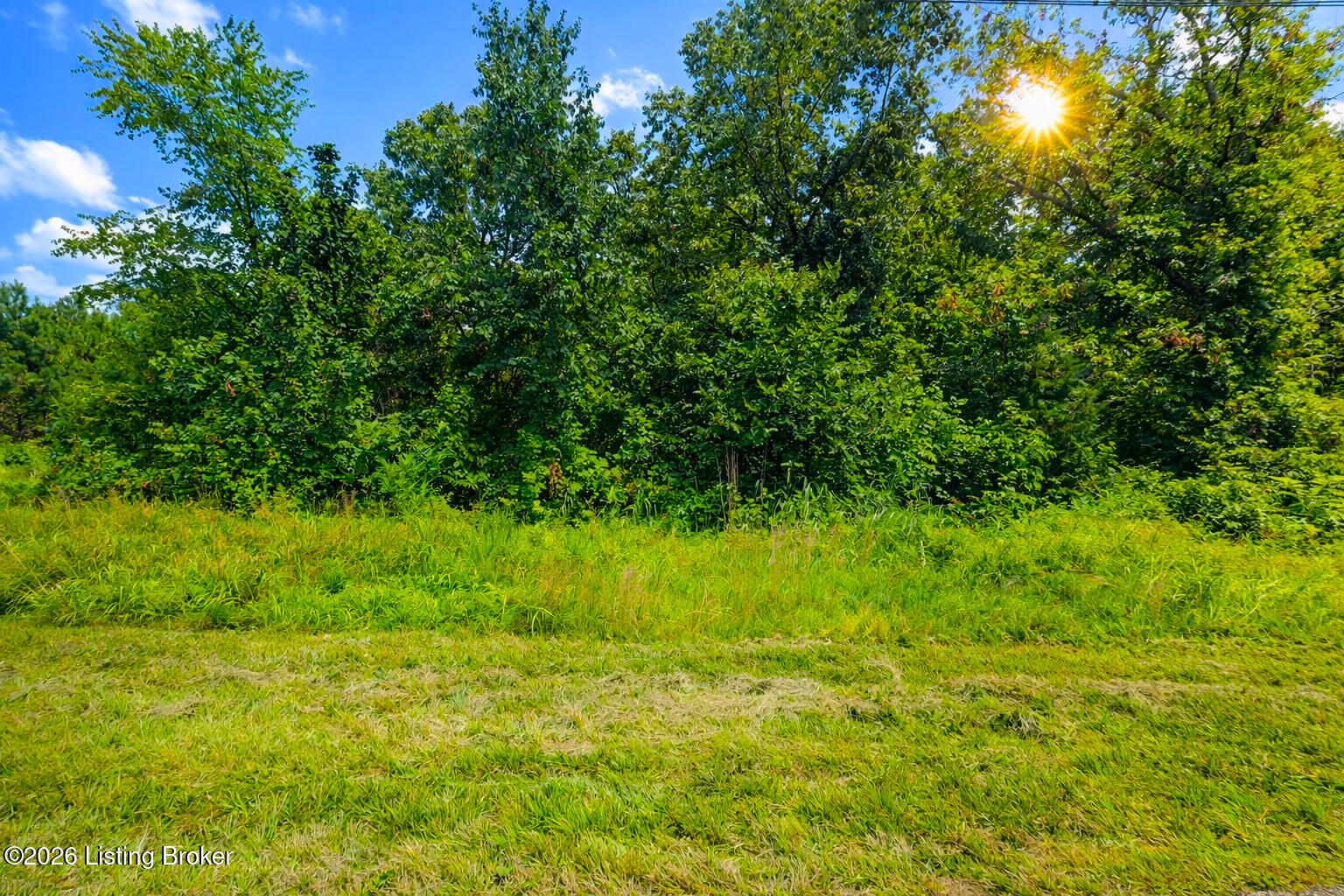 5061 Dawson Springs Rd Property Photo 3