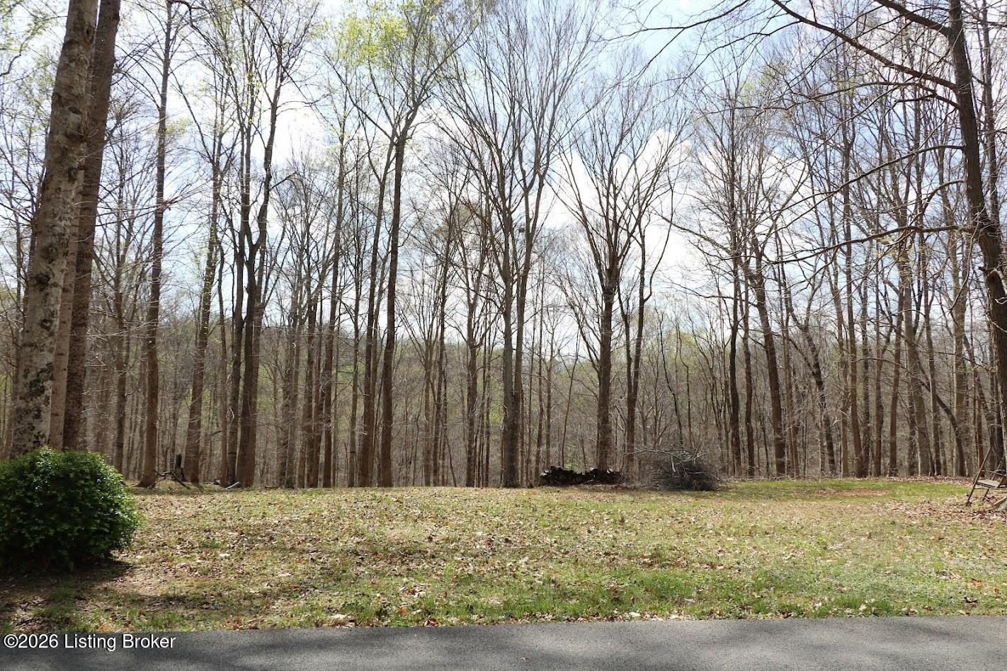 Lot Lorel Dunbar Ln Property Photo 1