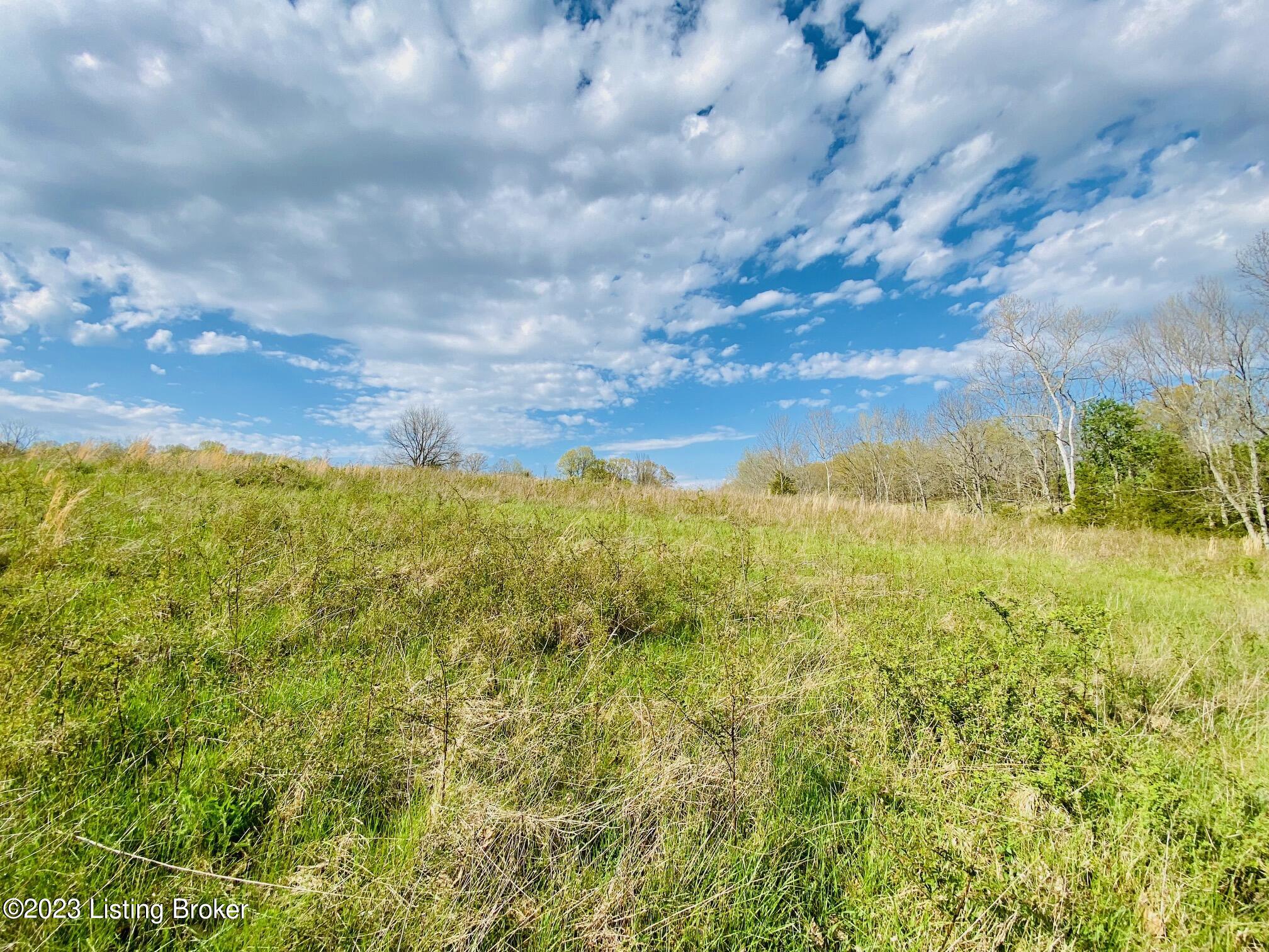 2050-d East Fork Rd Property Photo 3