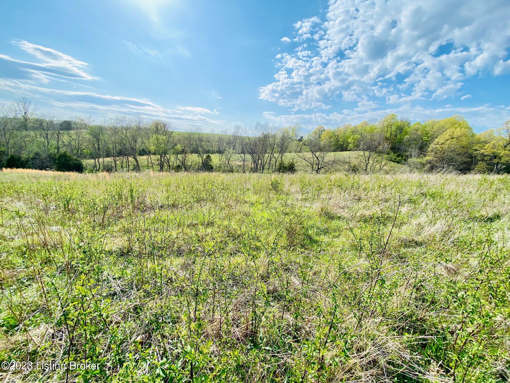 2050-d East Fork Rd Property Photo 4
