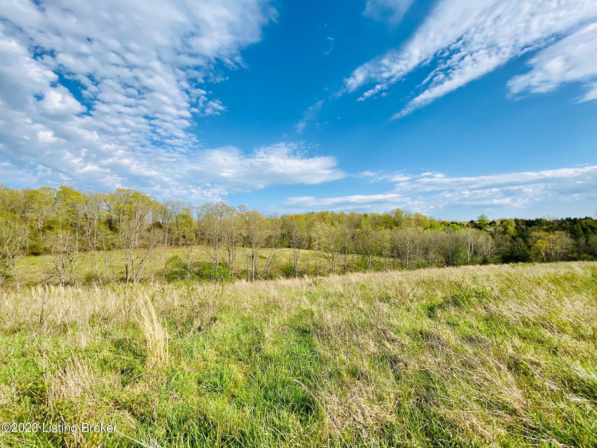 2050-d East Fork Rd Property Photo 5