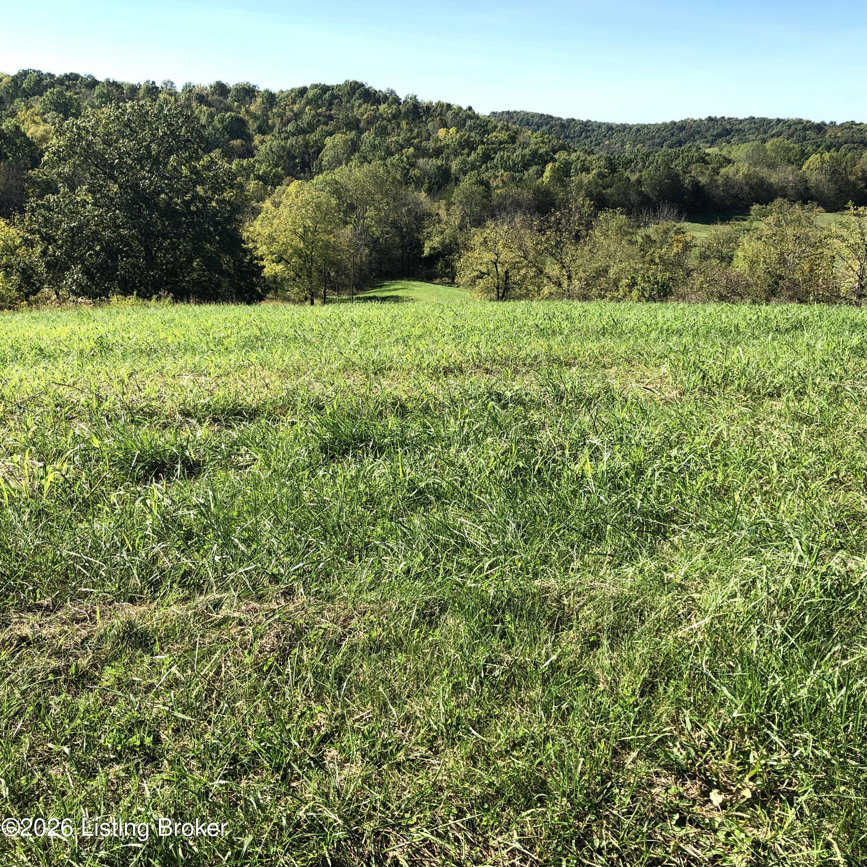 6 S Chowning Ln Property Photo 1