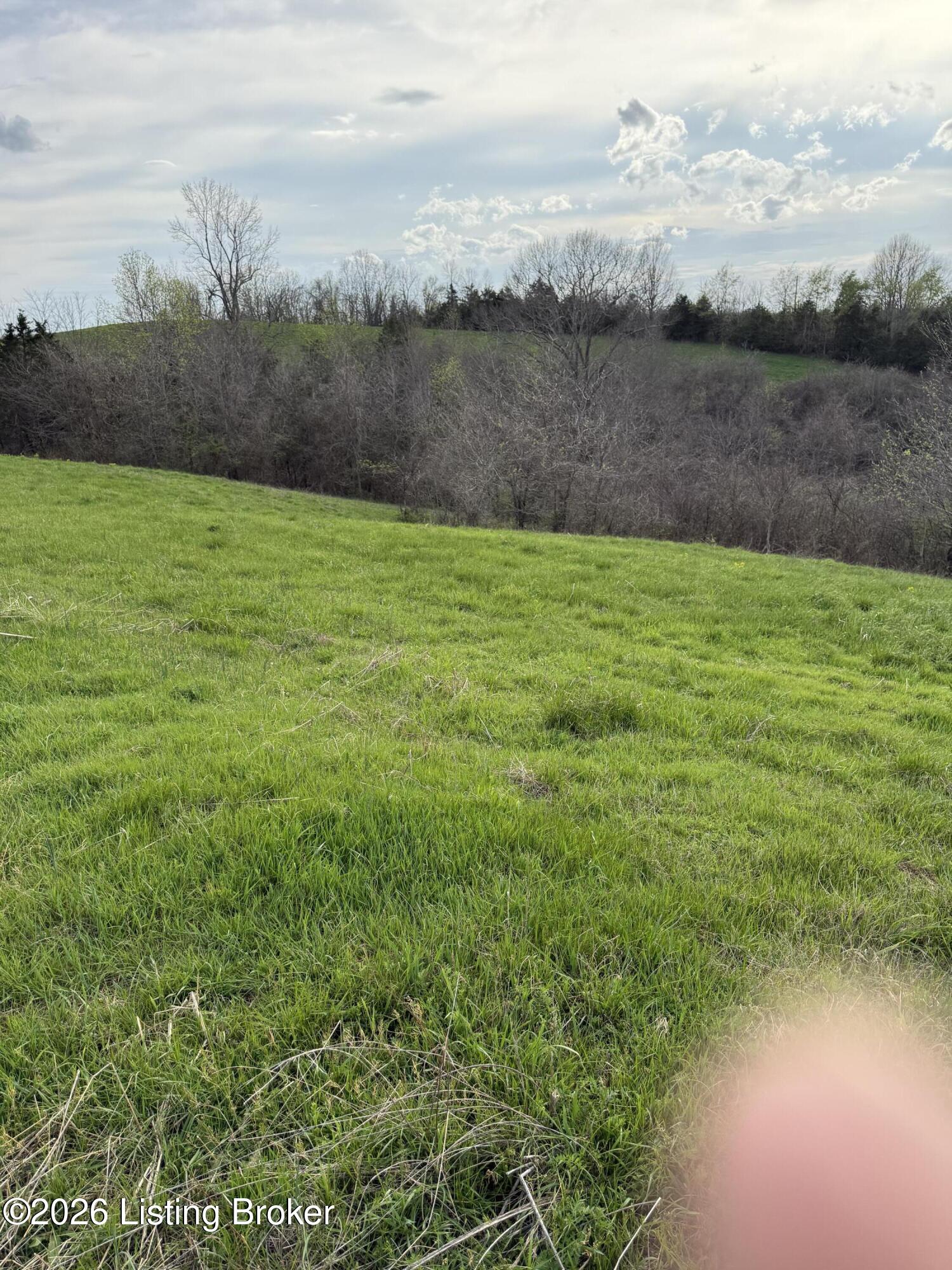 6 S Chowning Ln Property Photo 3