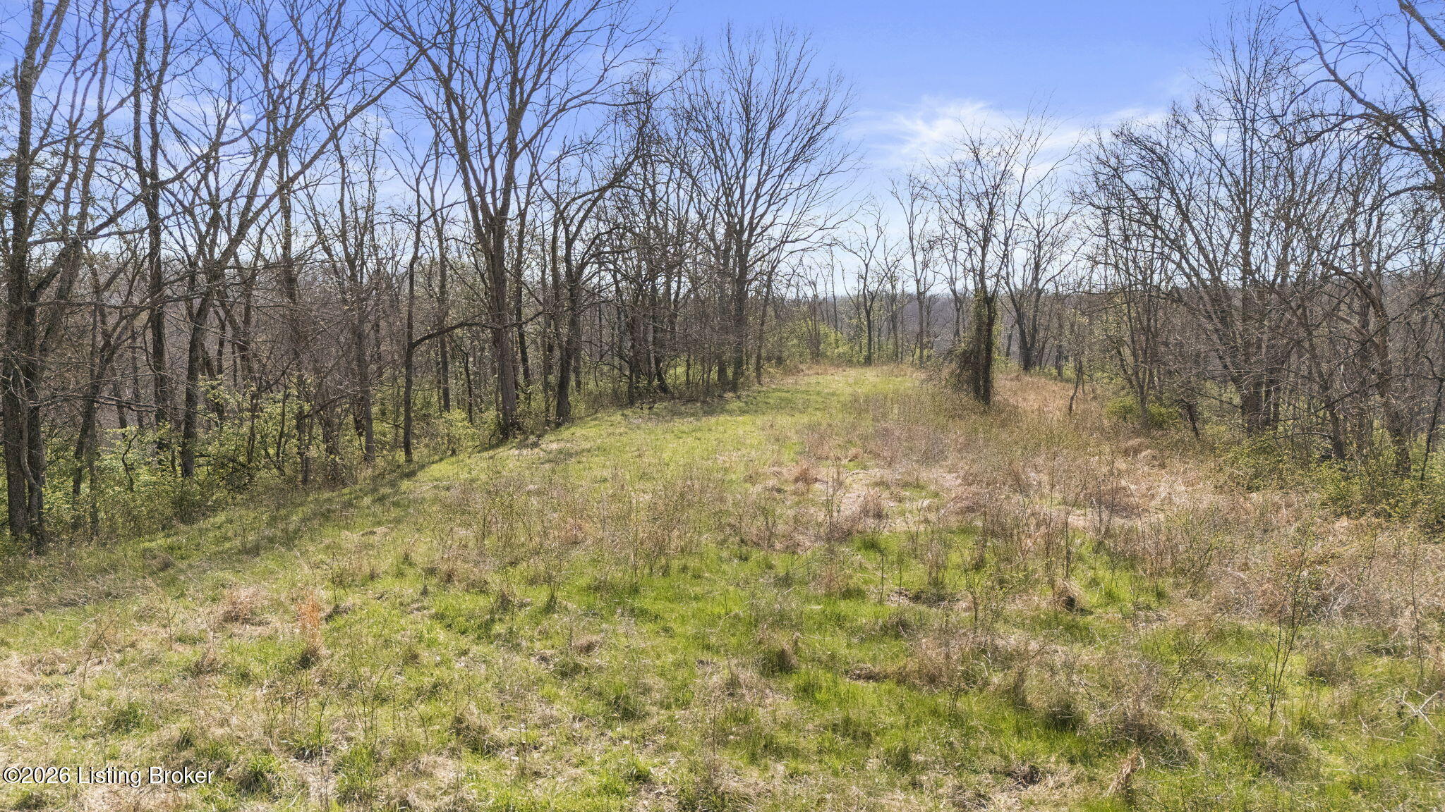 2502 Ky-55 Property Photo 59
