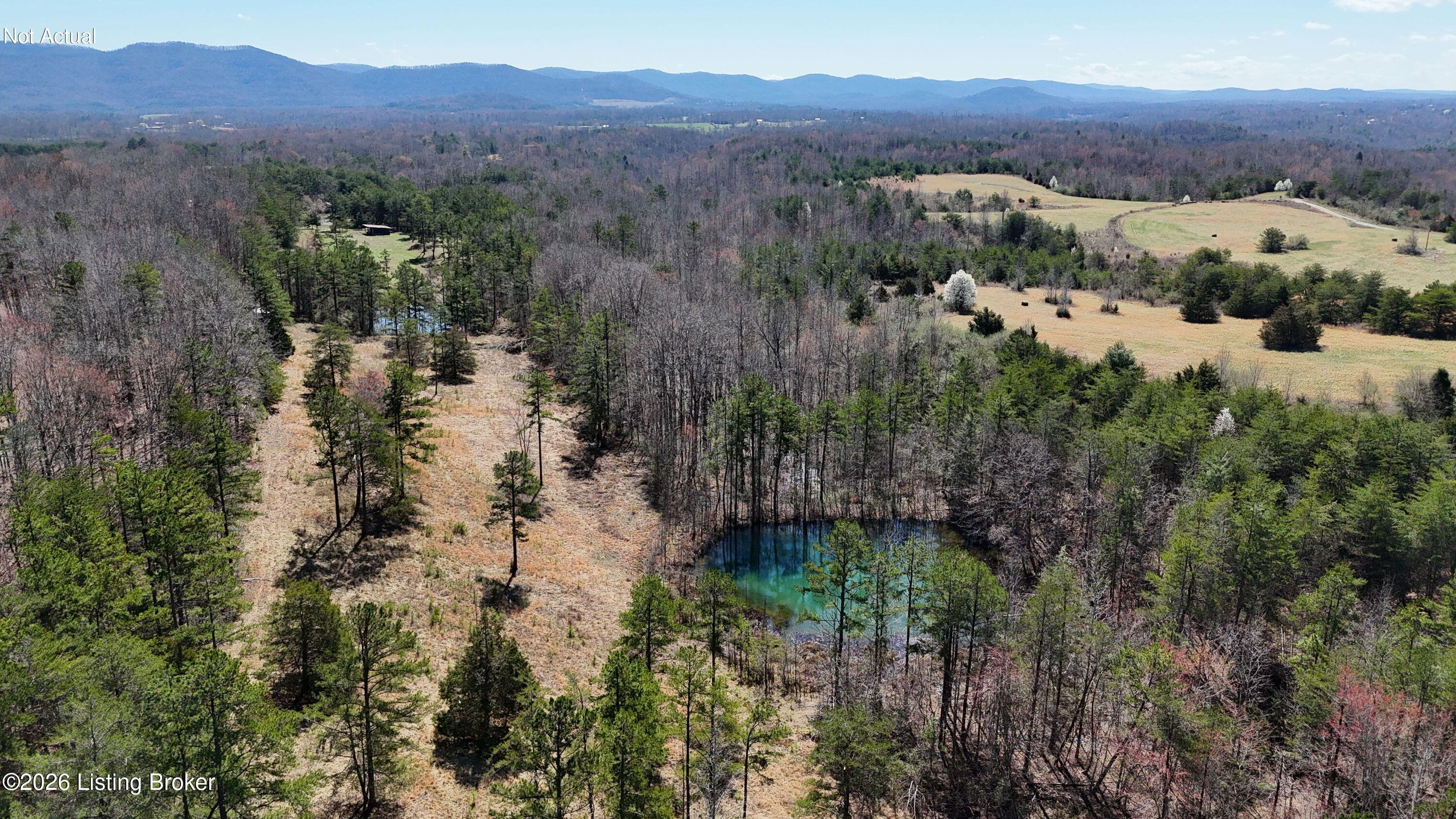 130 Ned Ridge Rd