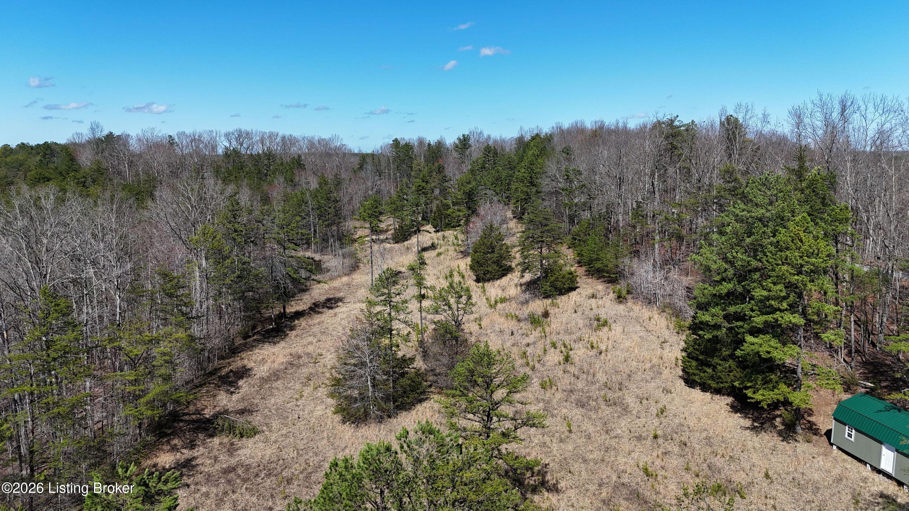 130 Ned Ridge Rd Property Photo 3