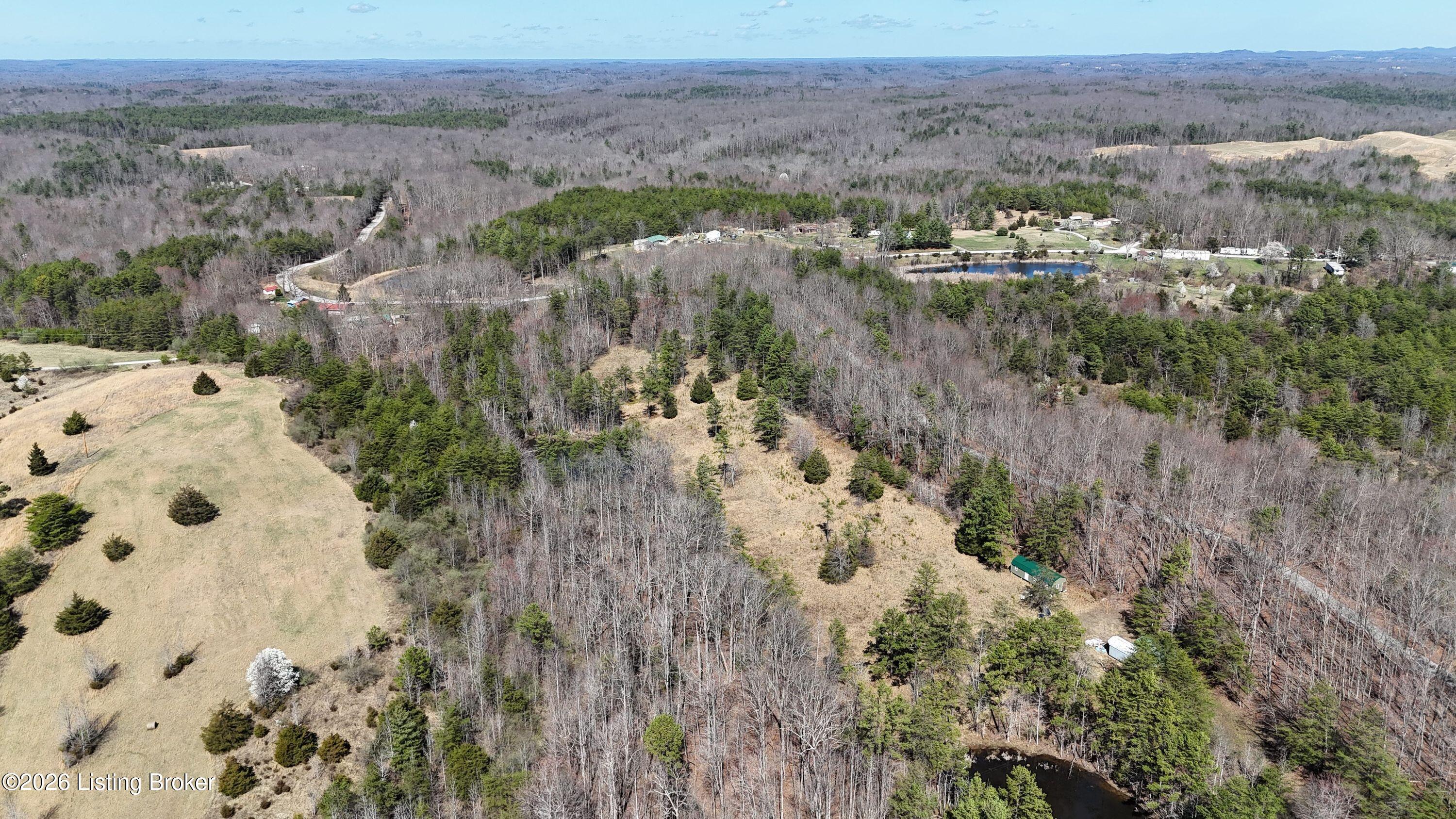 130 Ned Ridge Rd Property Photo 4
