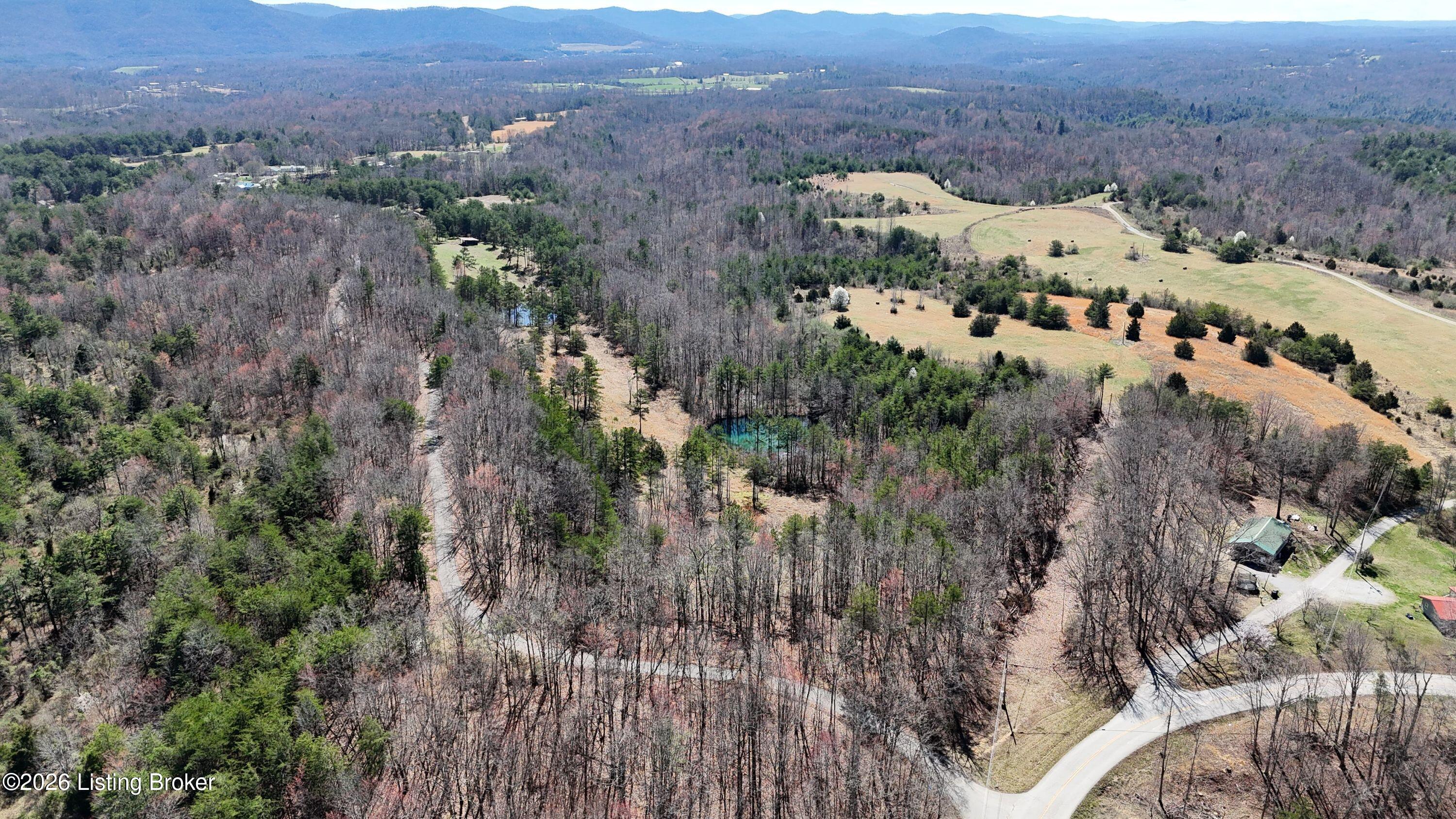 130 Ned Ridge Rd Property Photo 5