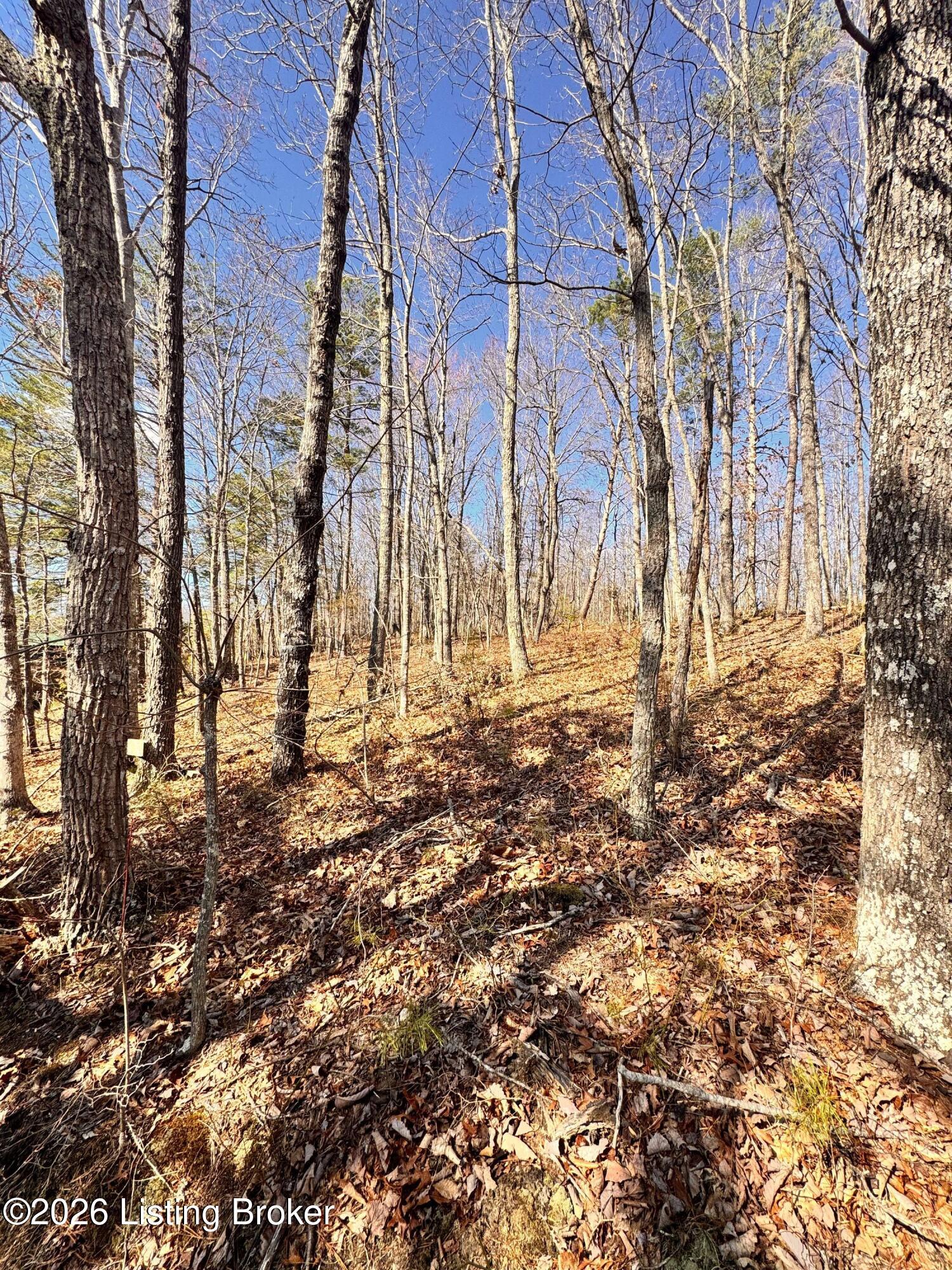 130 Ned Ridge Rd Property Photo 8