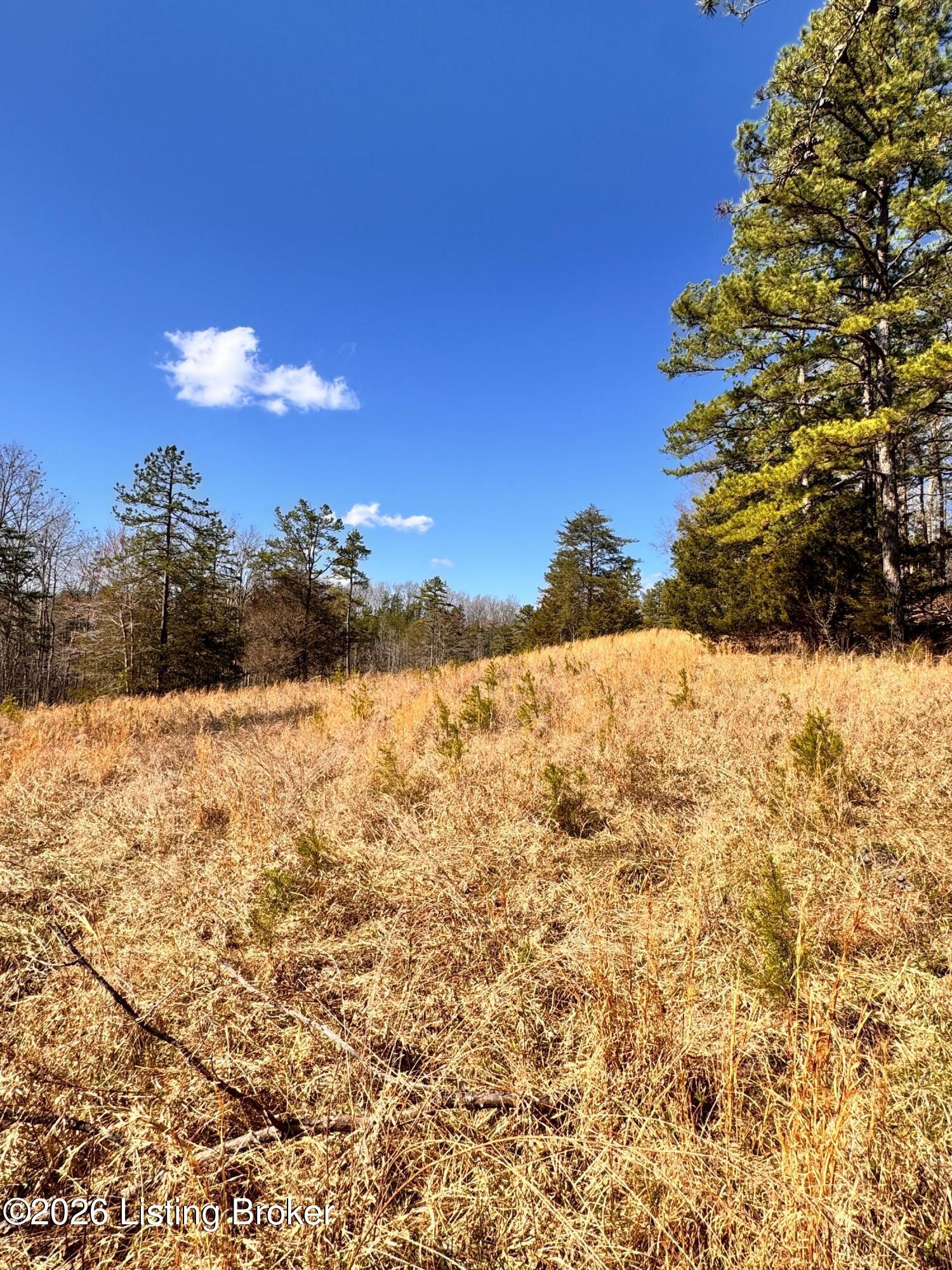 130 Ned Ridge Rd Property Photo 10