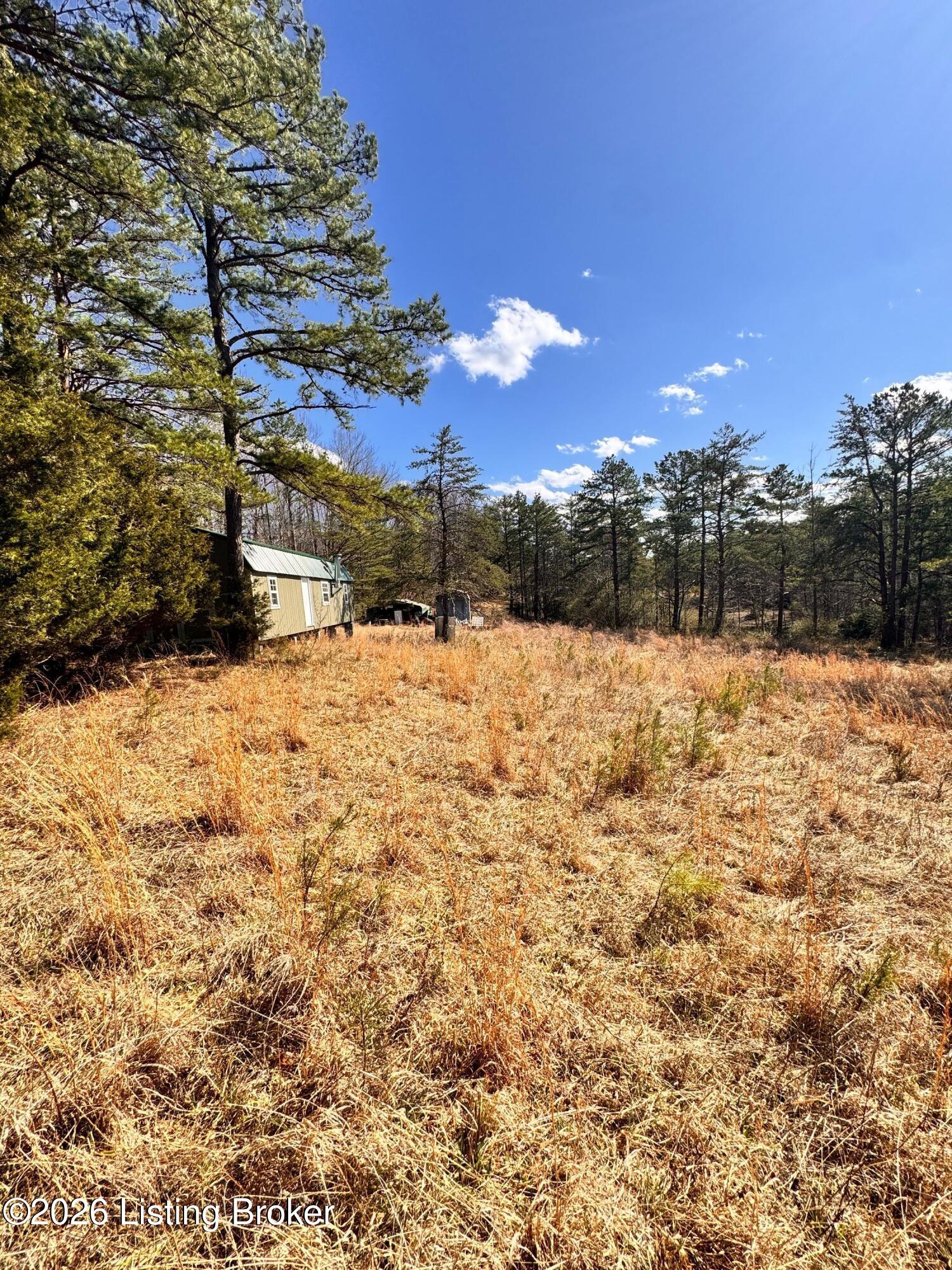130 Ned Ridge Rd Property Photo 11
