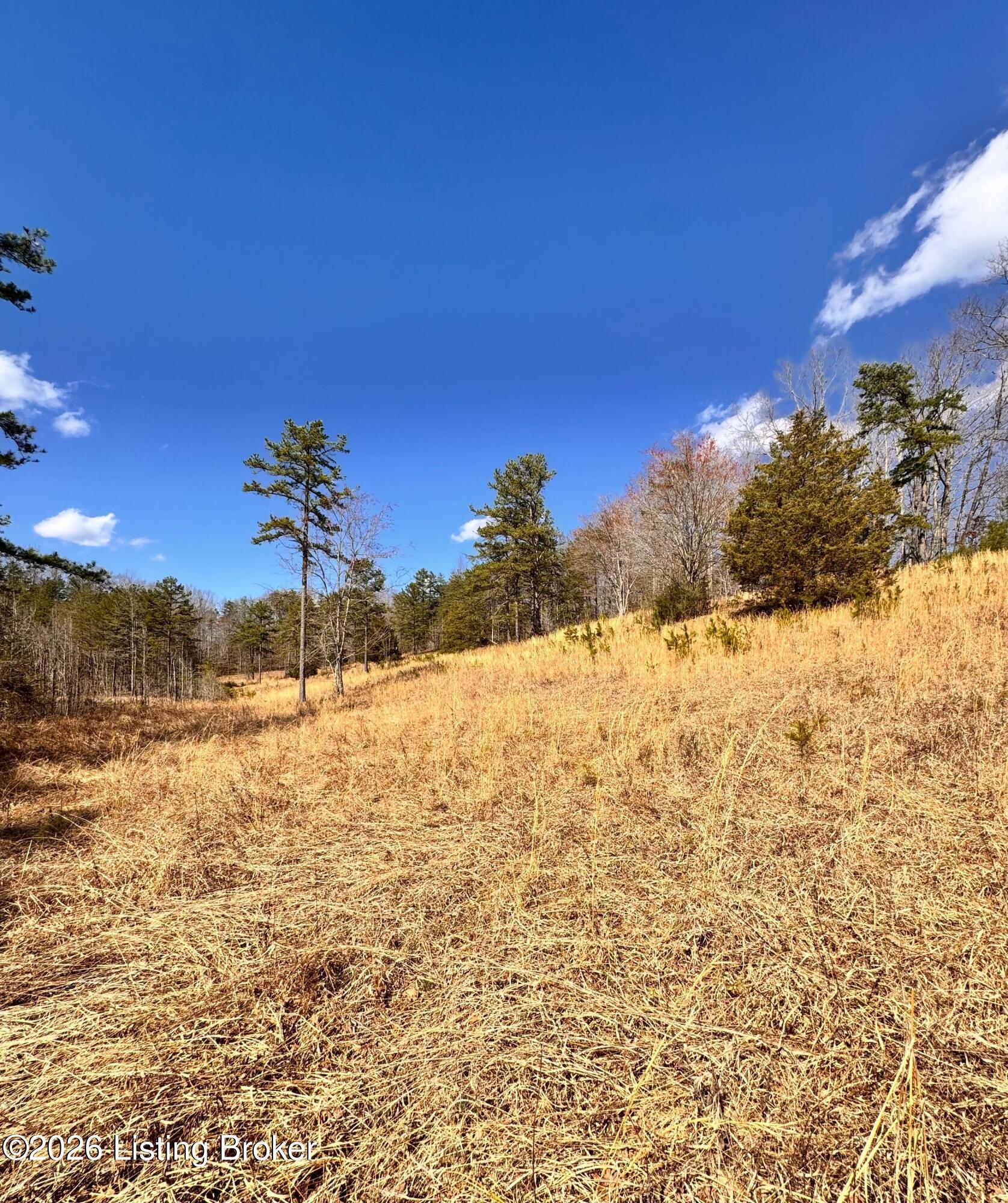 130 Ned Ridge Rd Property Photo 12