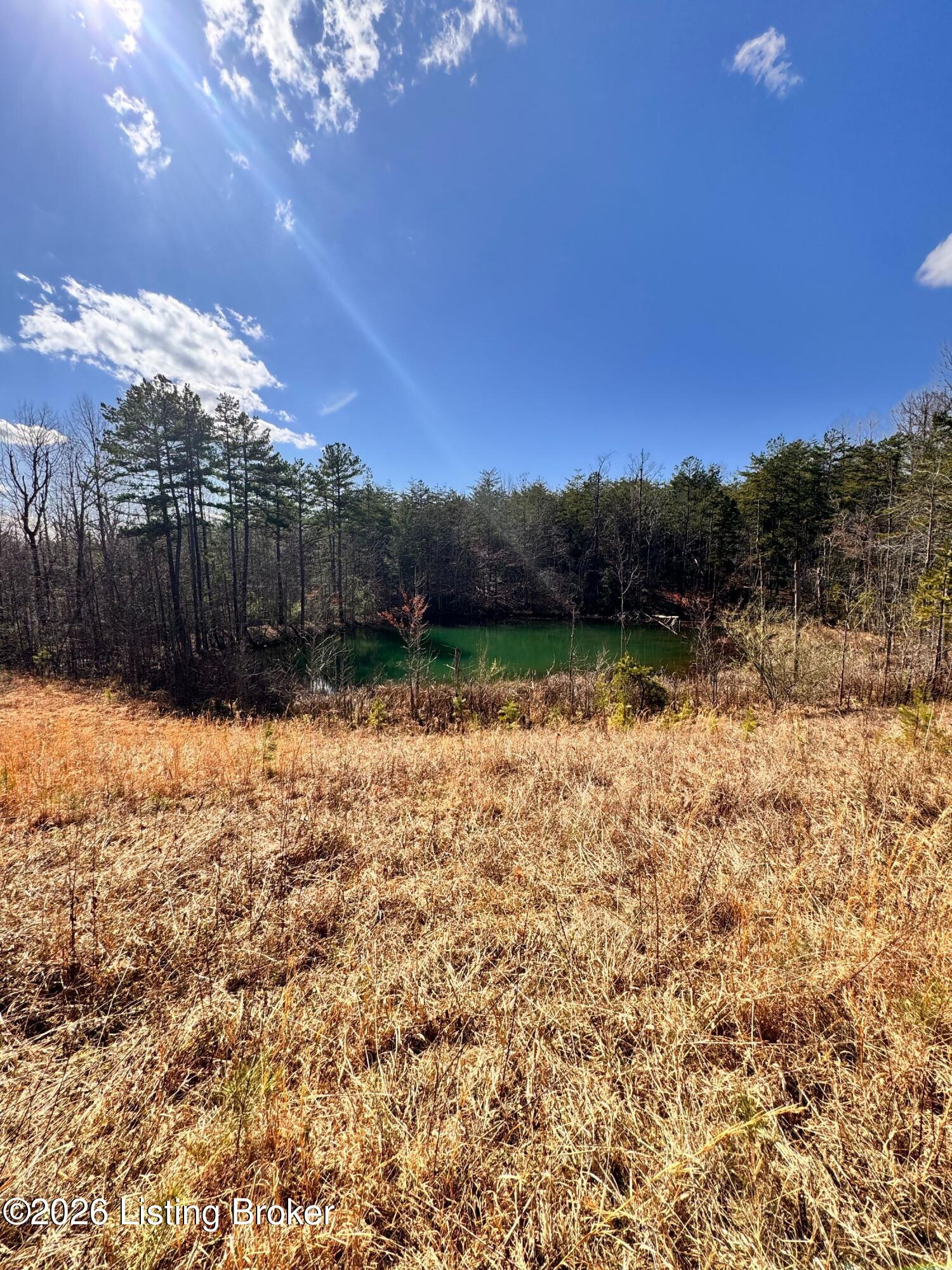 130 Ned Ridge Rd Property Photo 13