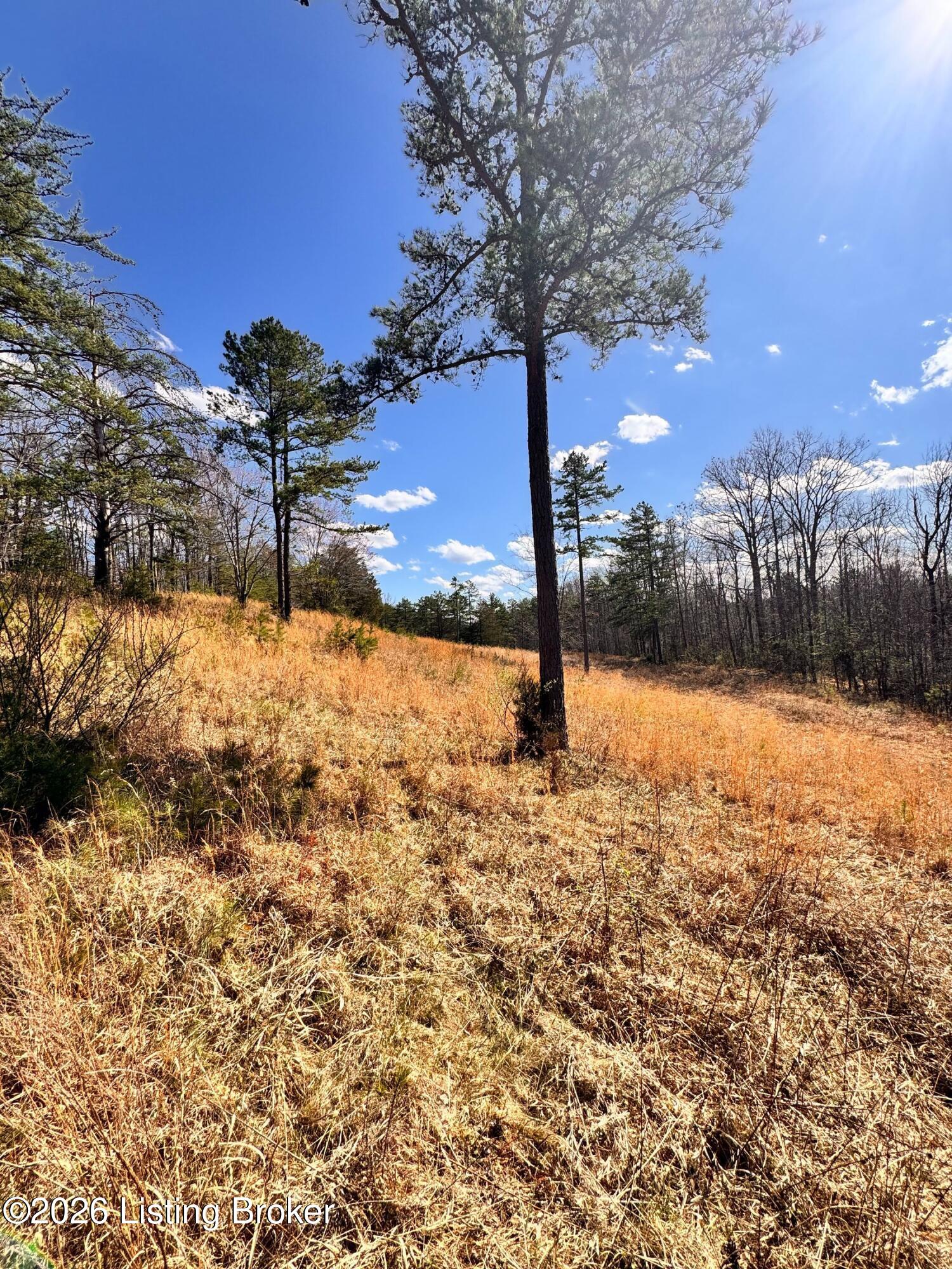 130 Ned Ridge Rd Property Photo 14