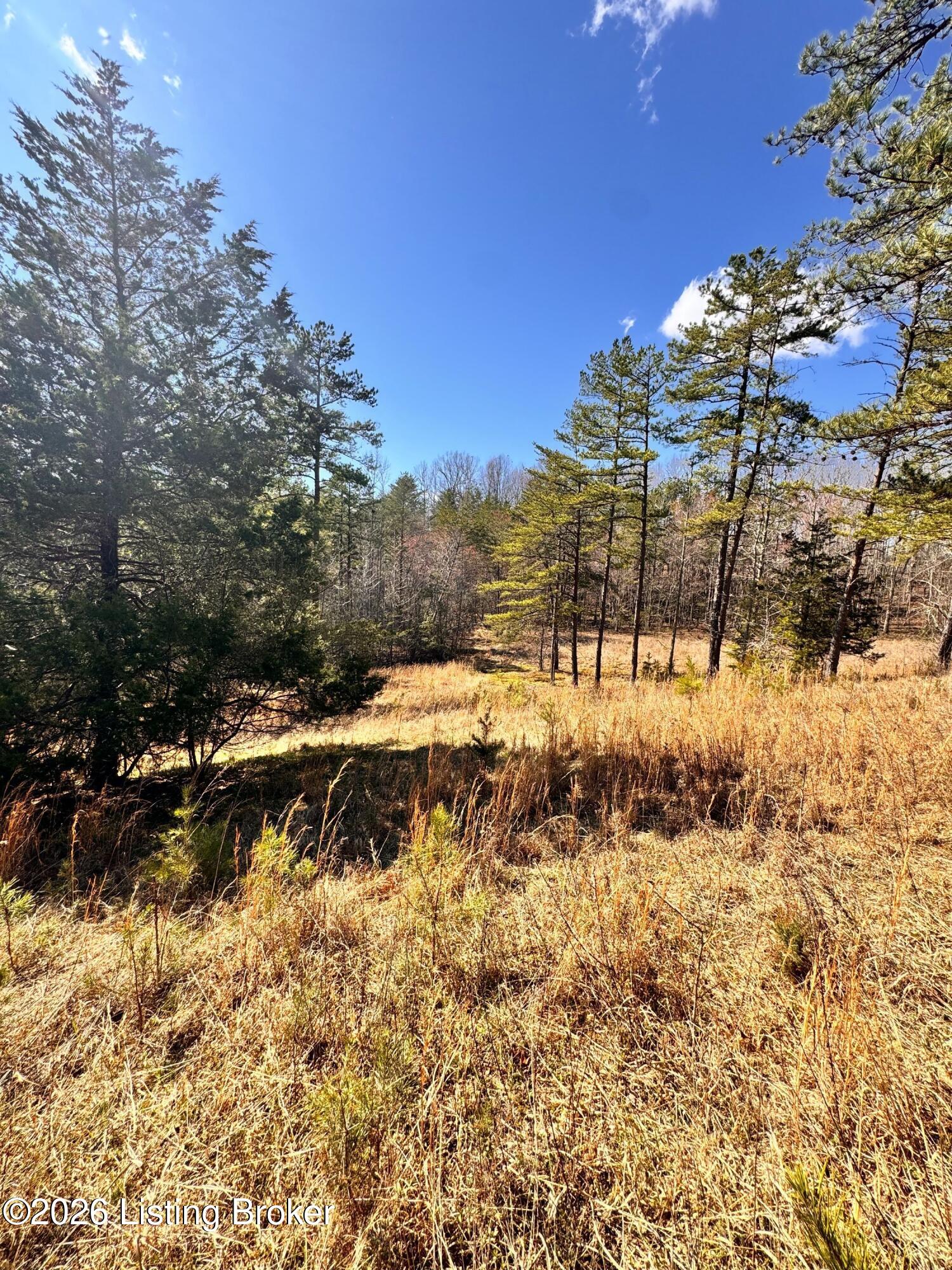 130 Ned Ridge Rd Property Photo 15