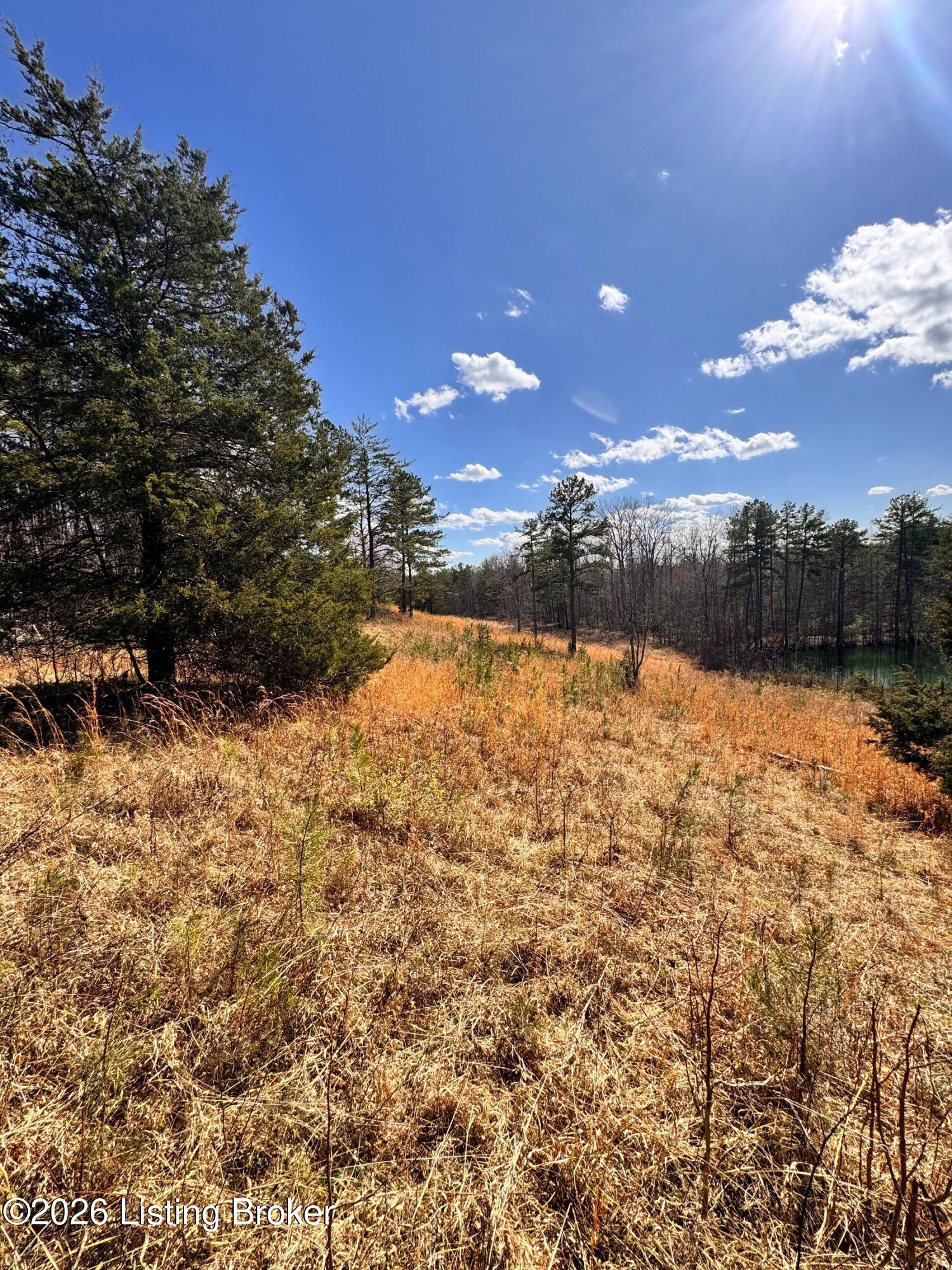 130 Ned Ridge Rd Property Photo 16