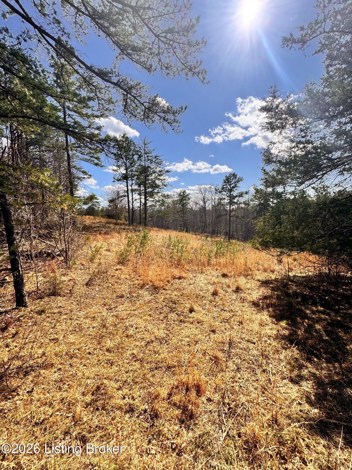 130 Ned Ridge Rd Property Photo 17