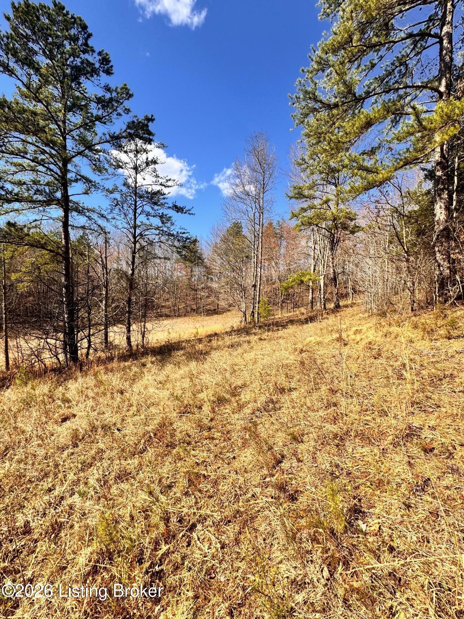 130 Ned Ridge Rd Property Photo 18