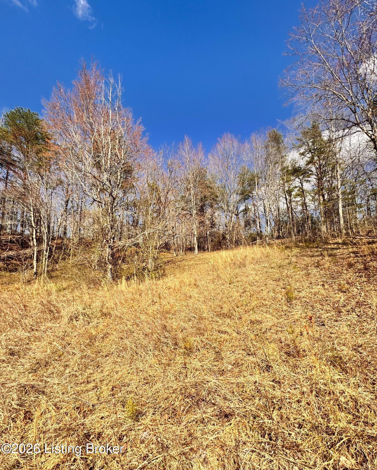 130 Ned Ridge Rd Property Photo 19