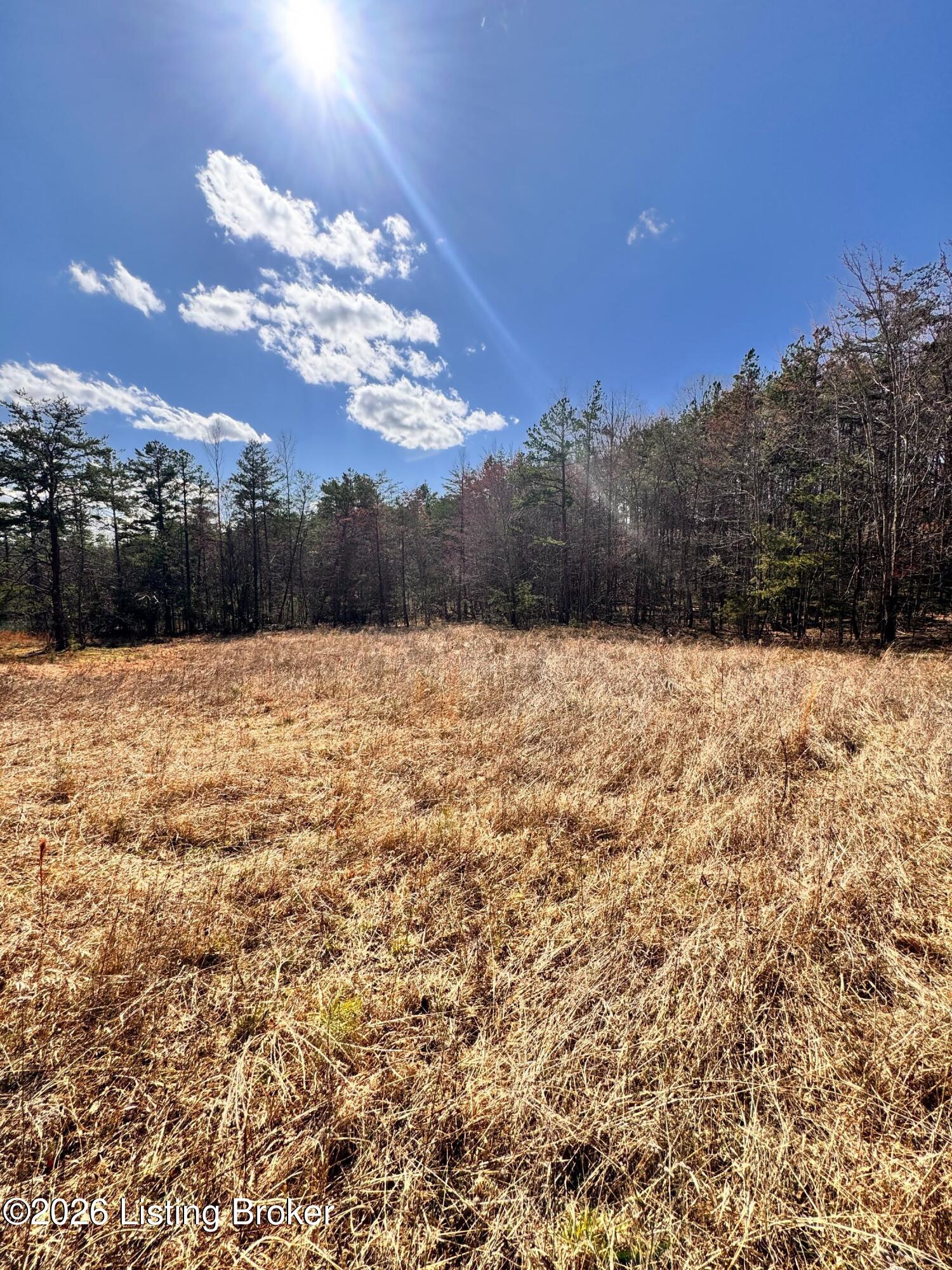 130 Ned Ridge Rd Property Photo 20