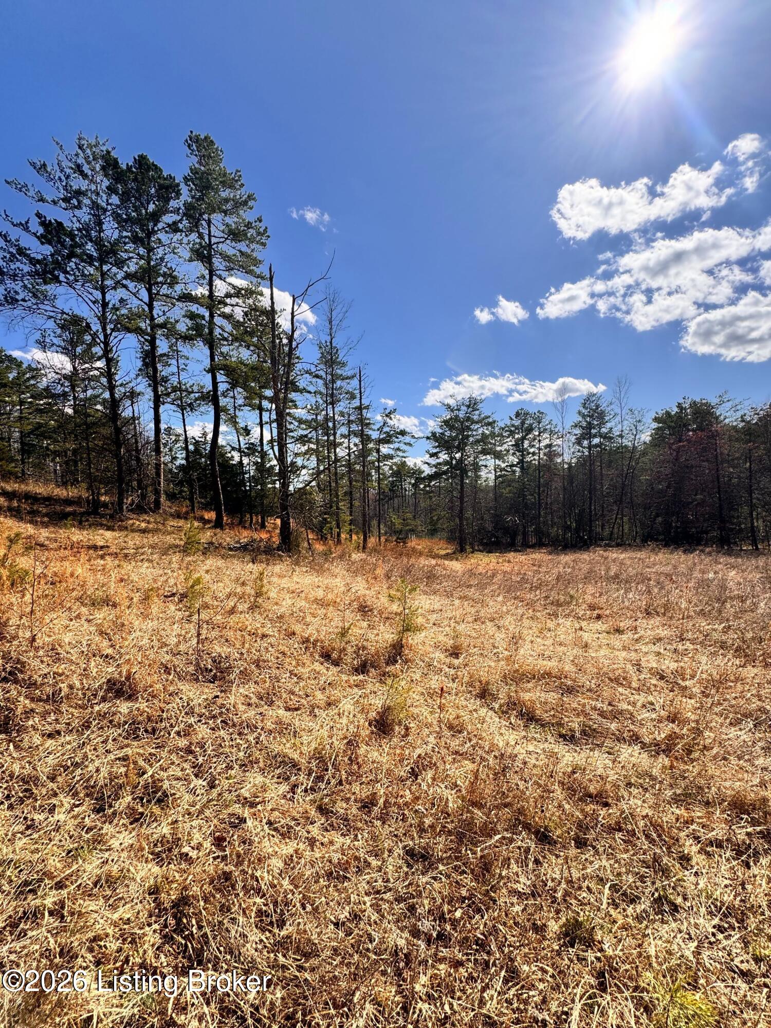 130 Ned Ridge Rd Property Photo 21