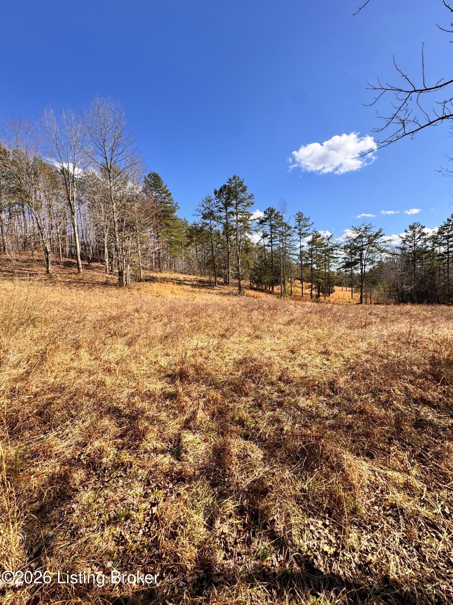 130 Ned Ridge Rd Property Photo 22