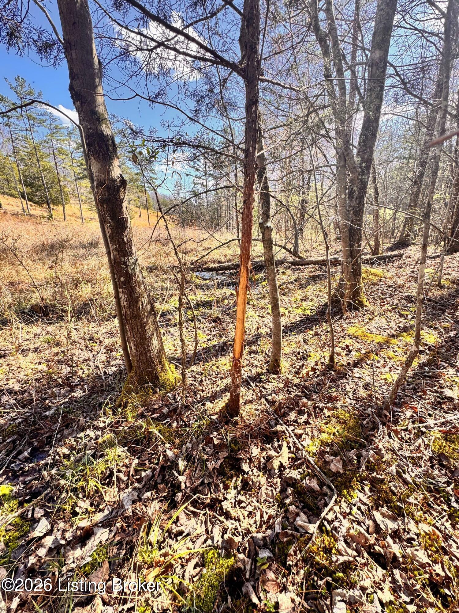 130 Ned Ridge Rd Property Photo 24