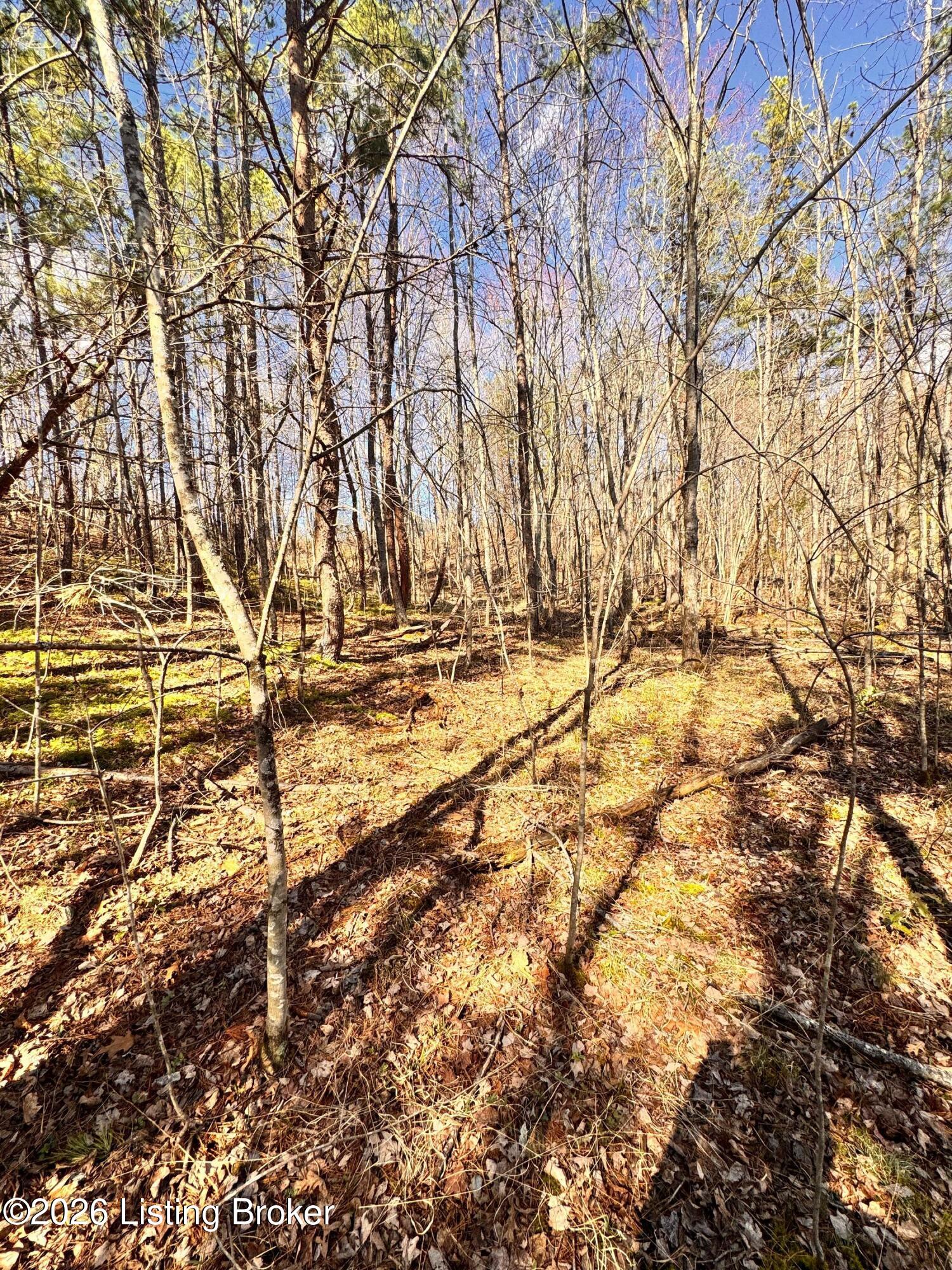 130 Ned Ridge Rd Property Photo 25