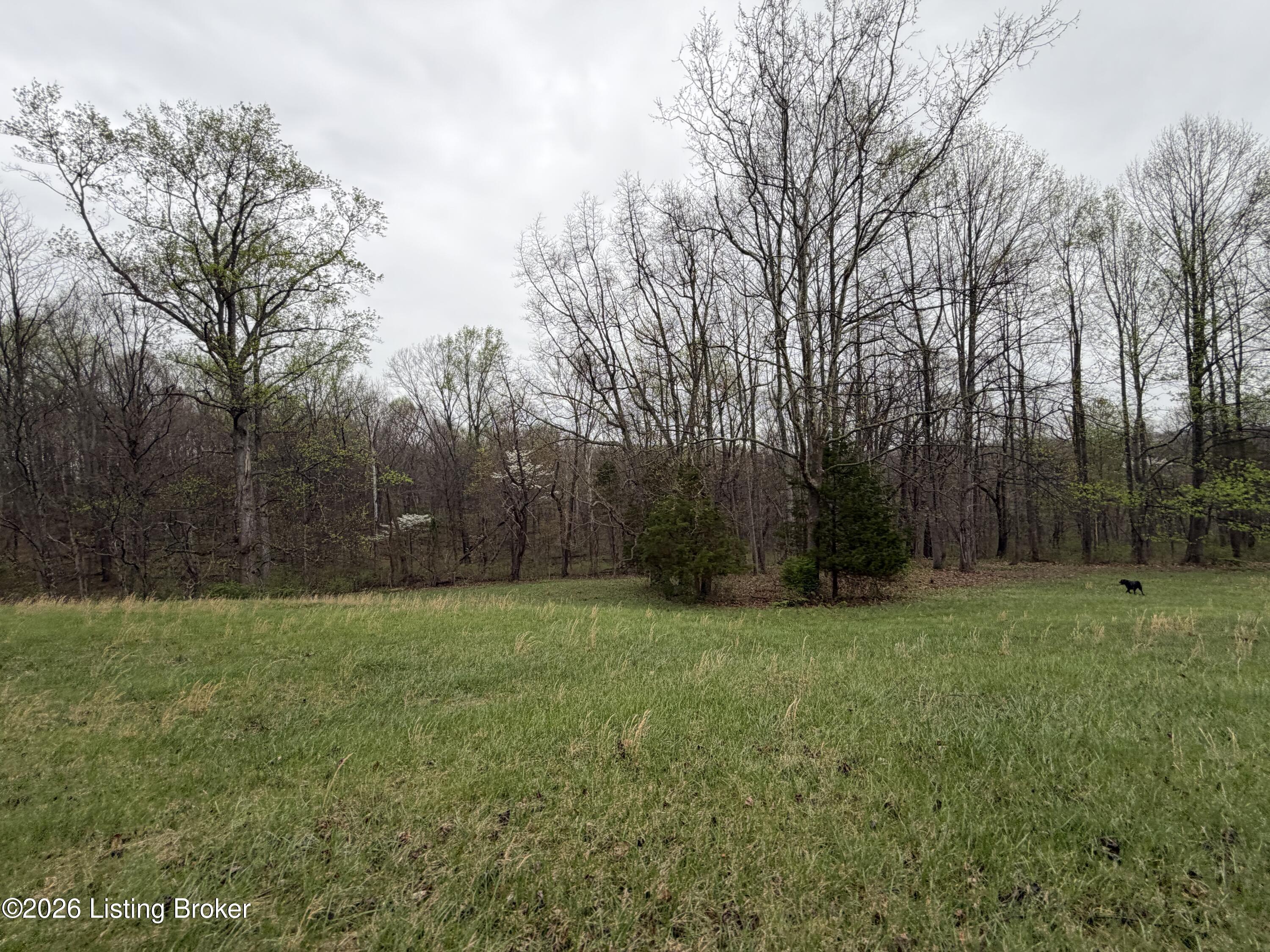 1 Mcdowell Rd Property Photo 5