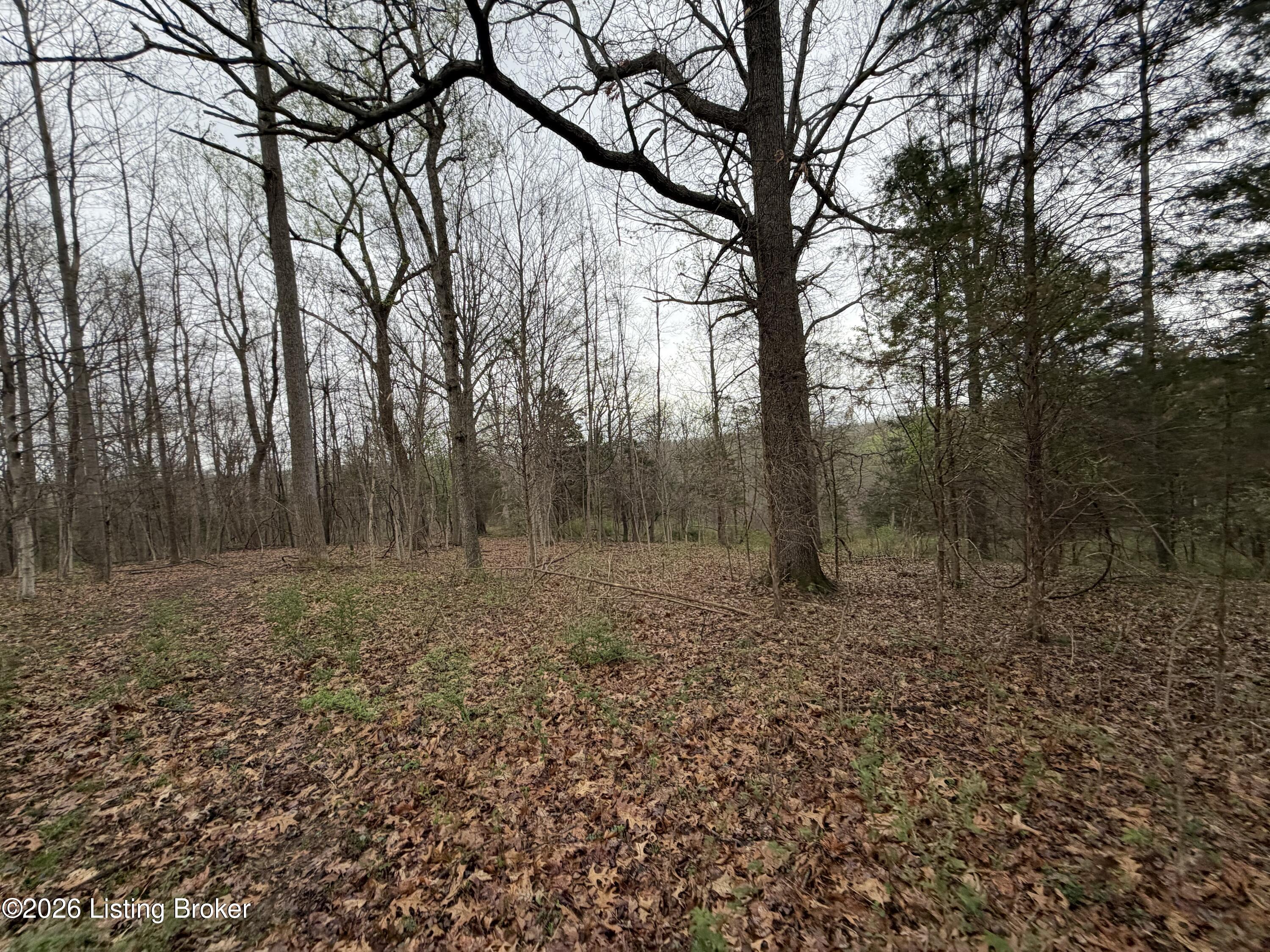 1 Mcdowell Rd Property Photo 13