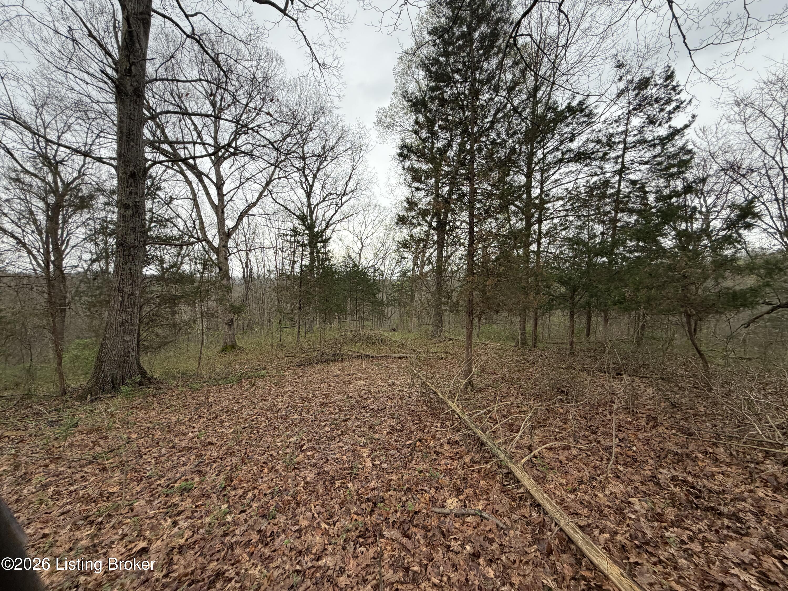 1 Mcdowell Rd Property Photo 14