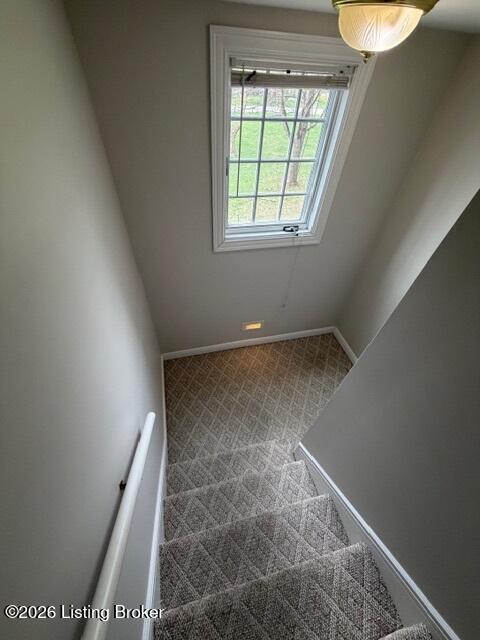 6311 Breeze Hill Rd Property Photo 32