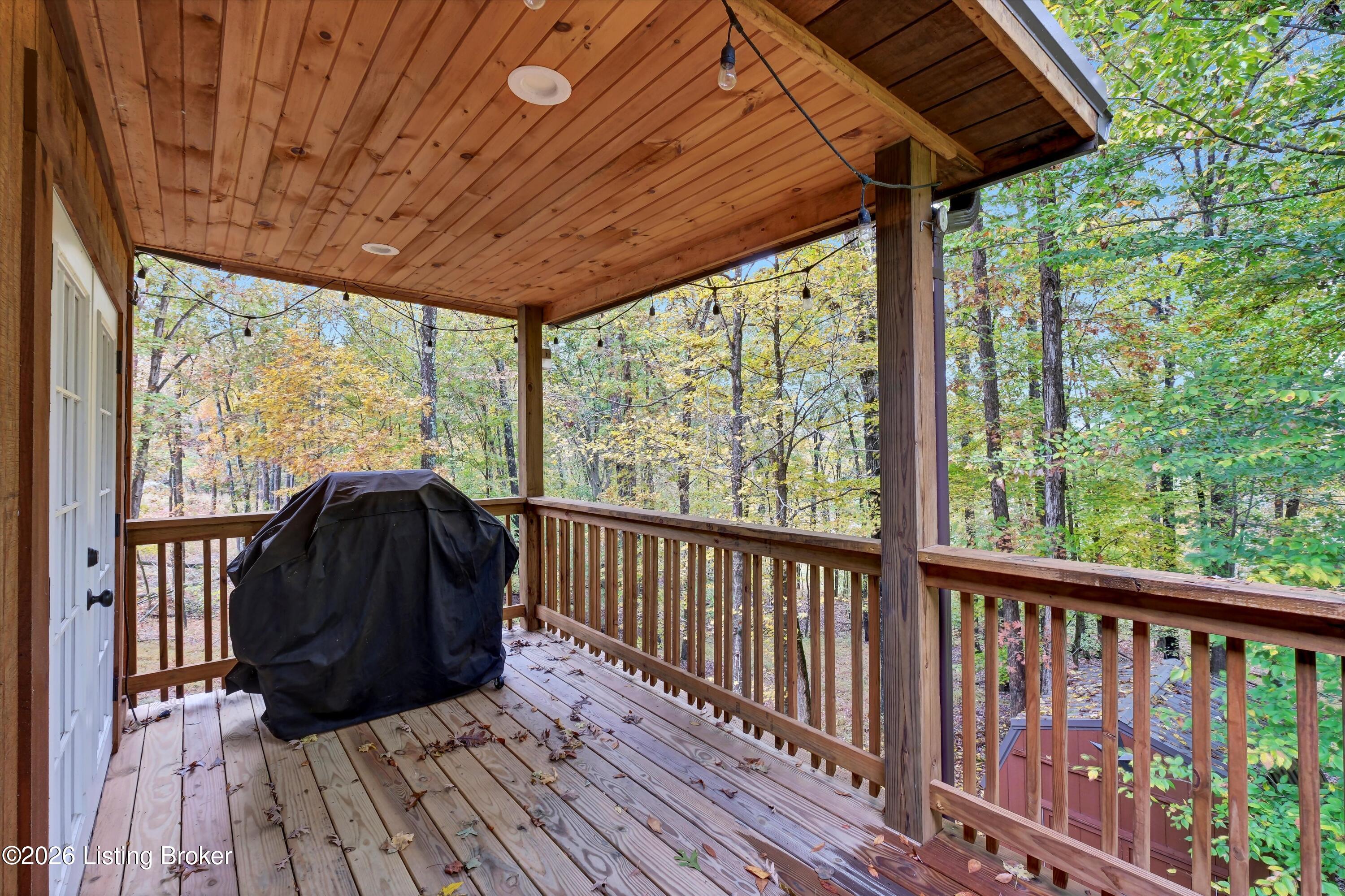 1046 Michaels Cove Dr Property Photo 44