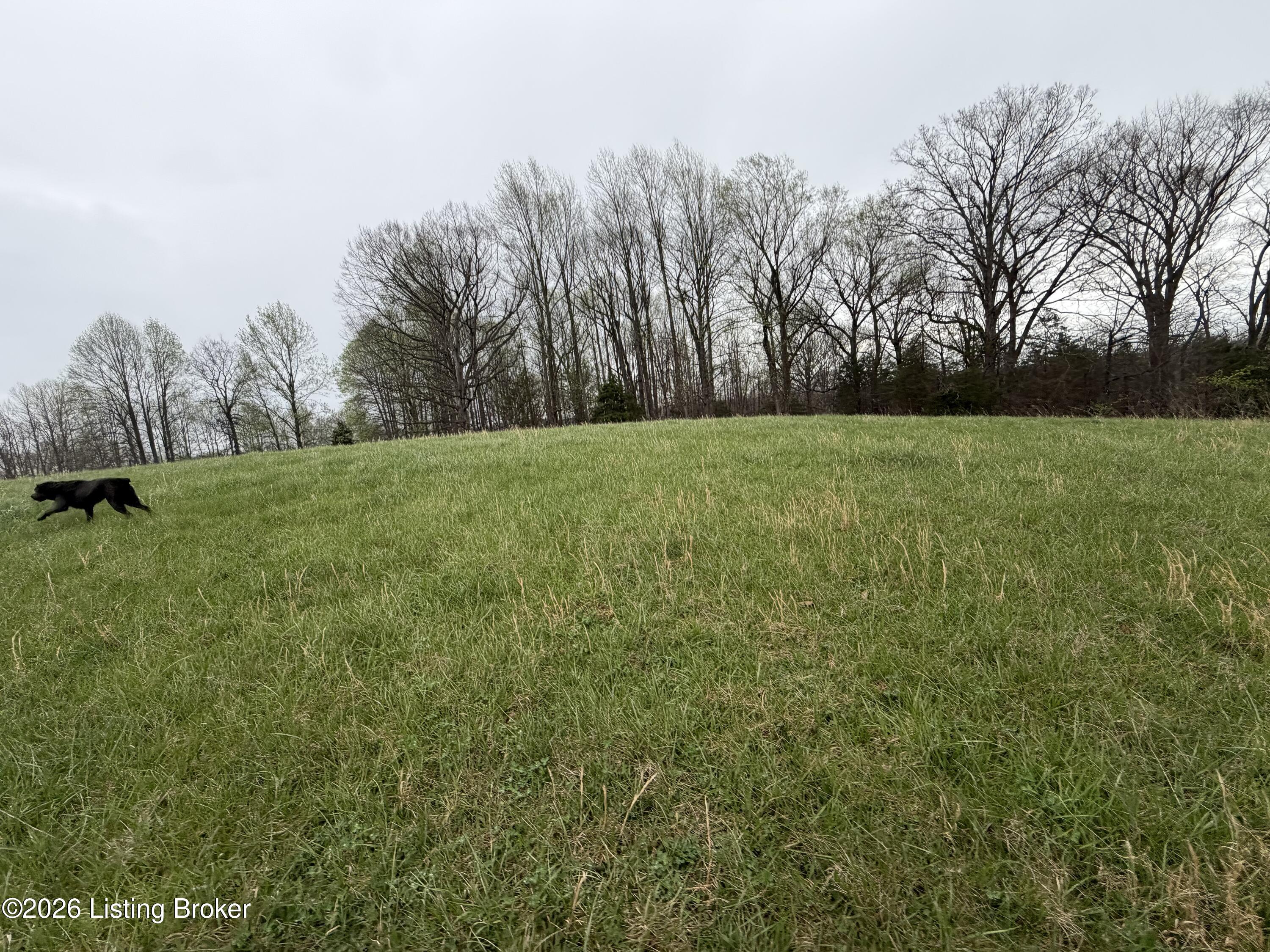 2 Mcdowell Rd Property Photo 8