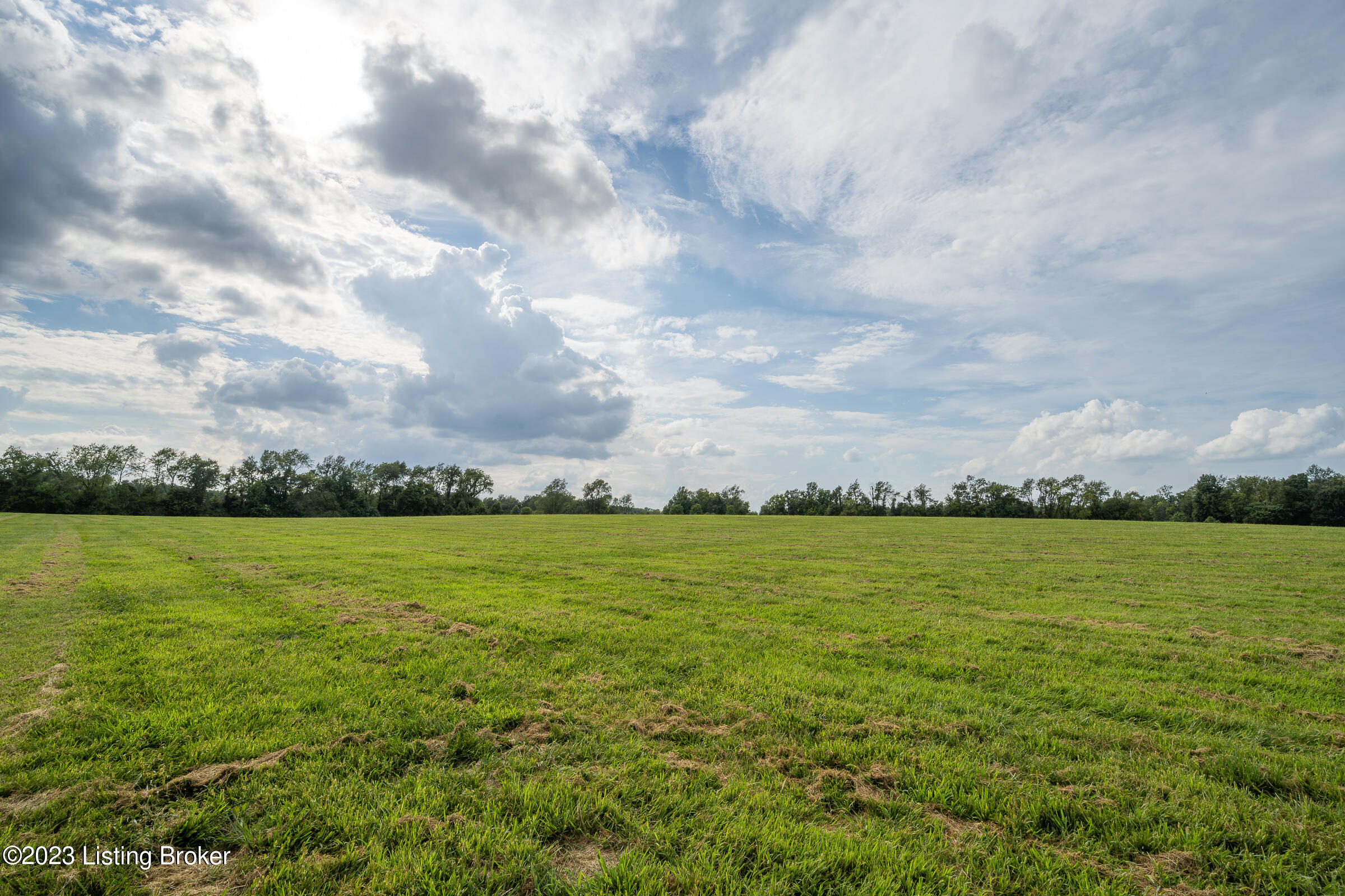 5404 Venkata Way Property Photo 9