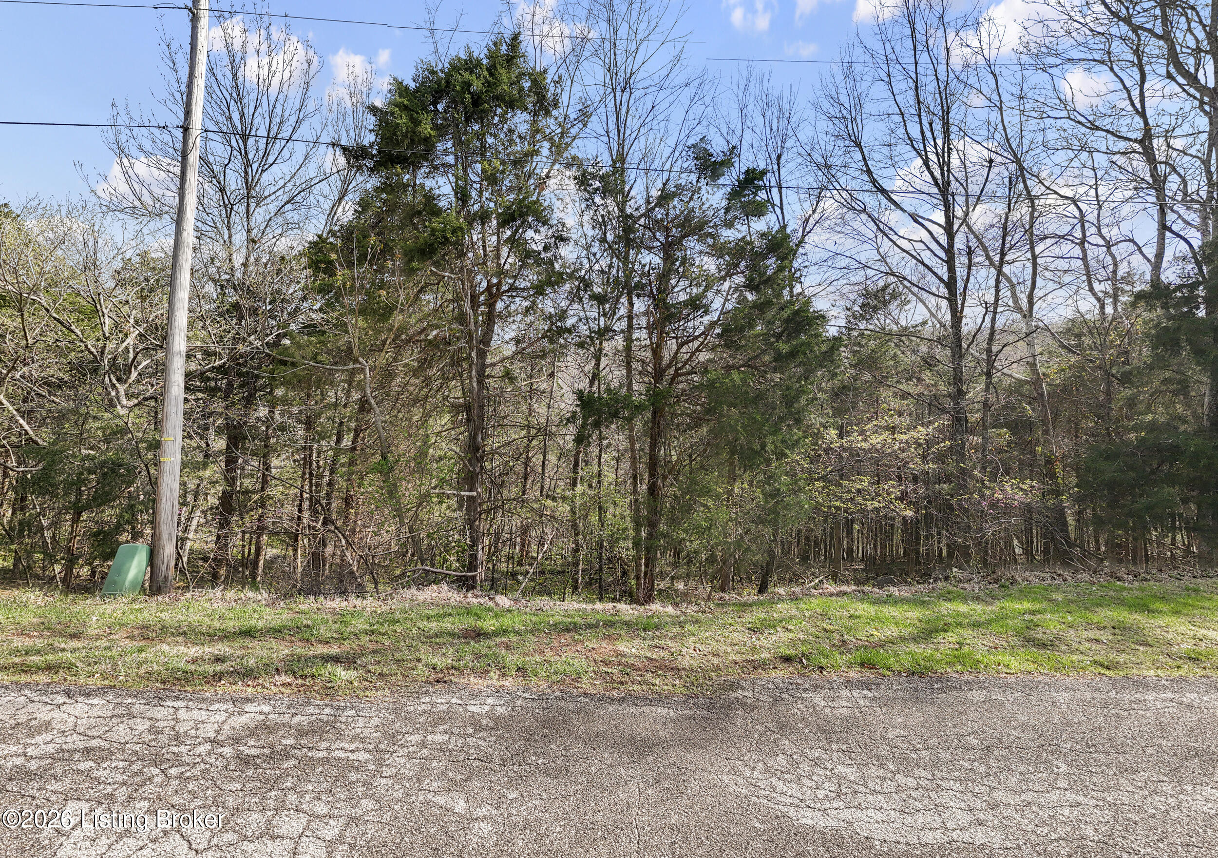 321 Bellemeade St Property Photo 7