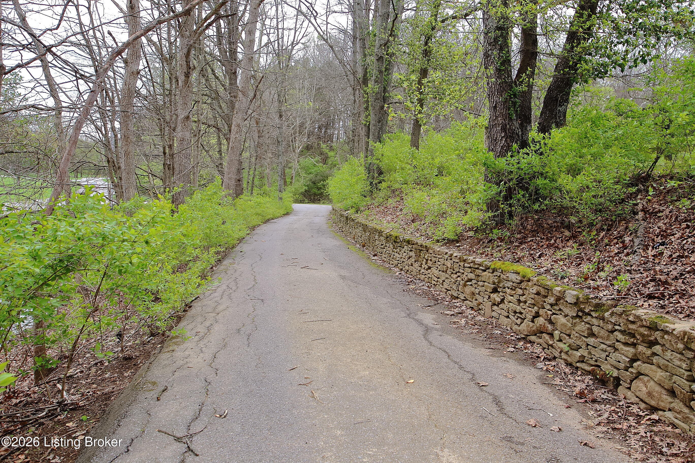 2310 Running Brook Trail Property Photo 10