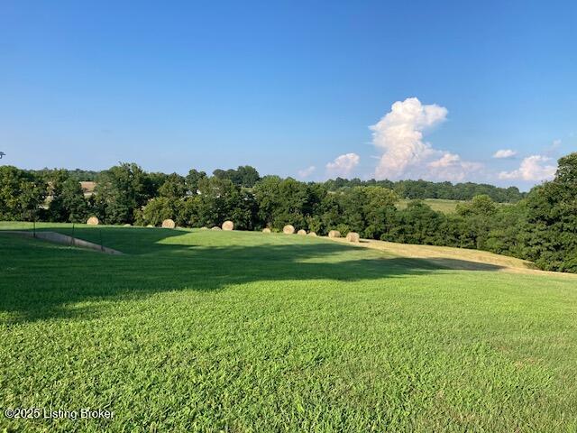 8116 Lawrenceburg Rd Property Photo 7