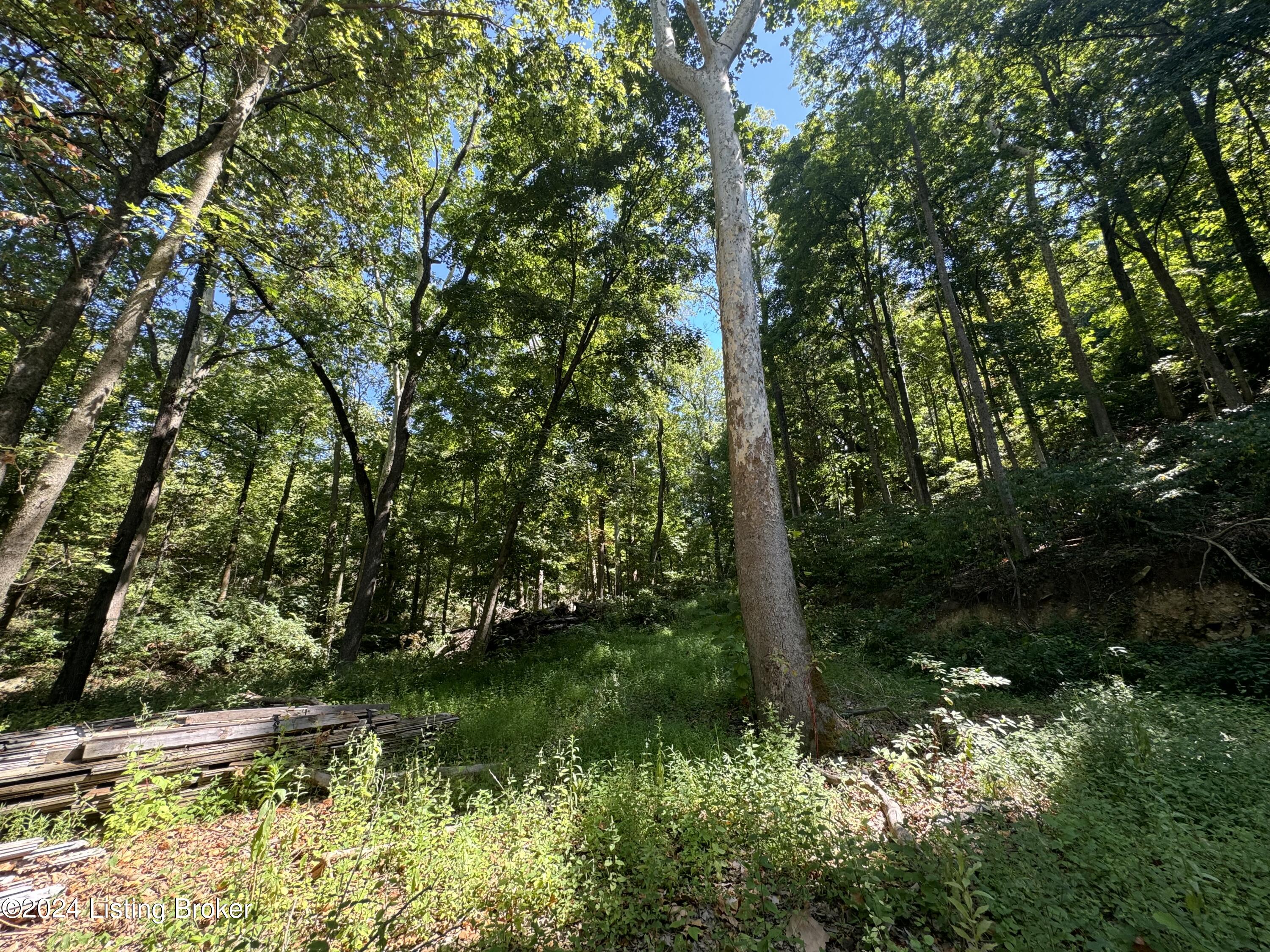 Lot 13 Rose Island Rd Property Photo 5