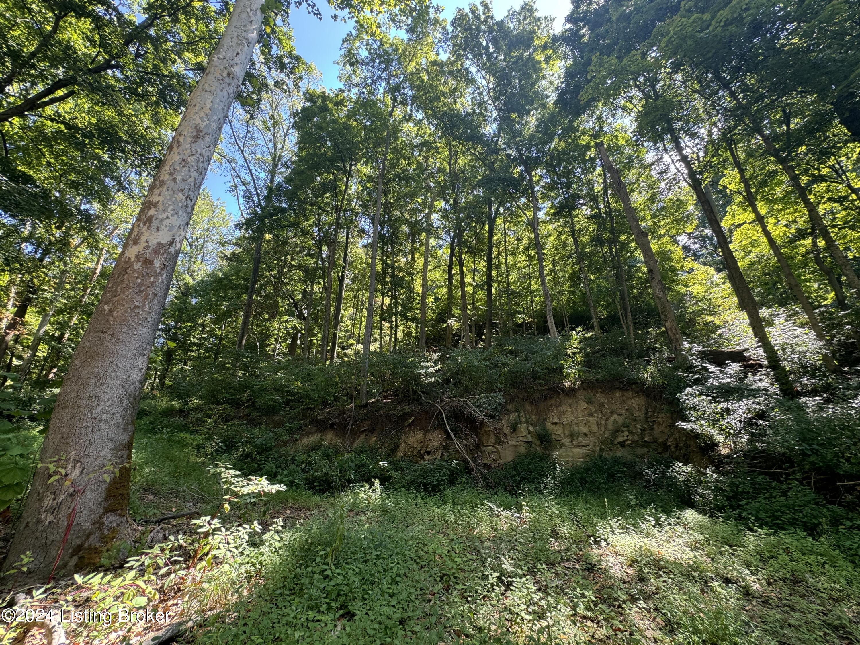 Lot 13 Rose Island Rd Property Photo 6