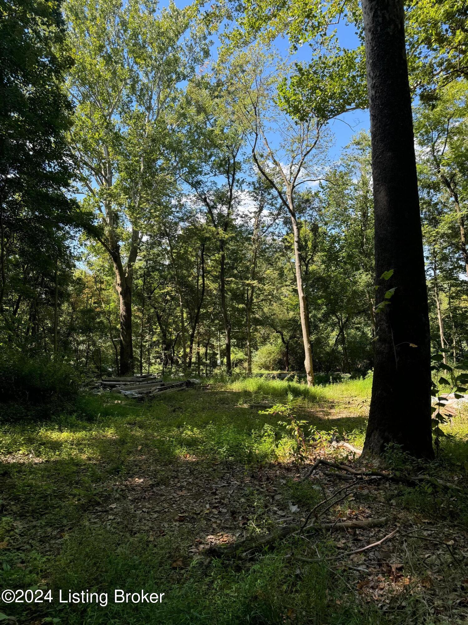 Lot 13 Rose Island Rd Property Photo 11
