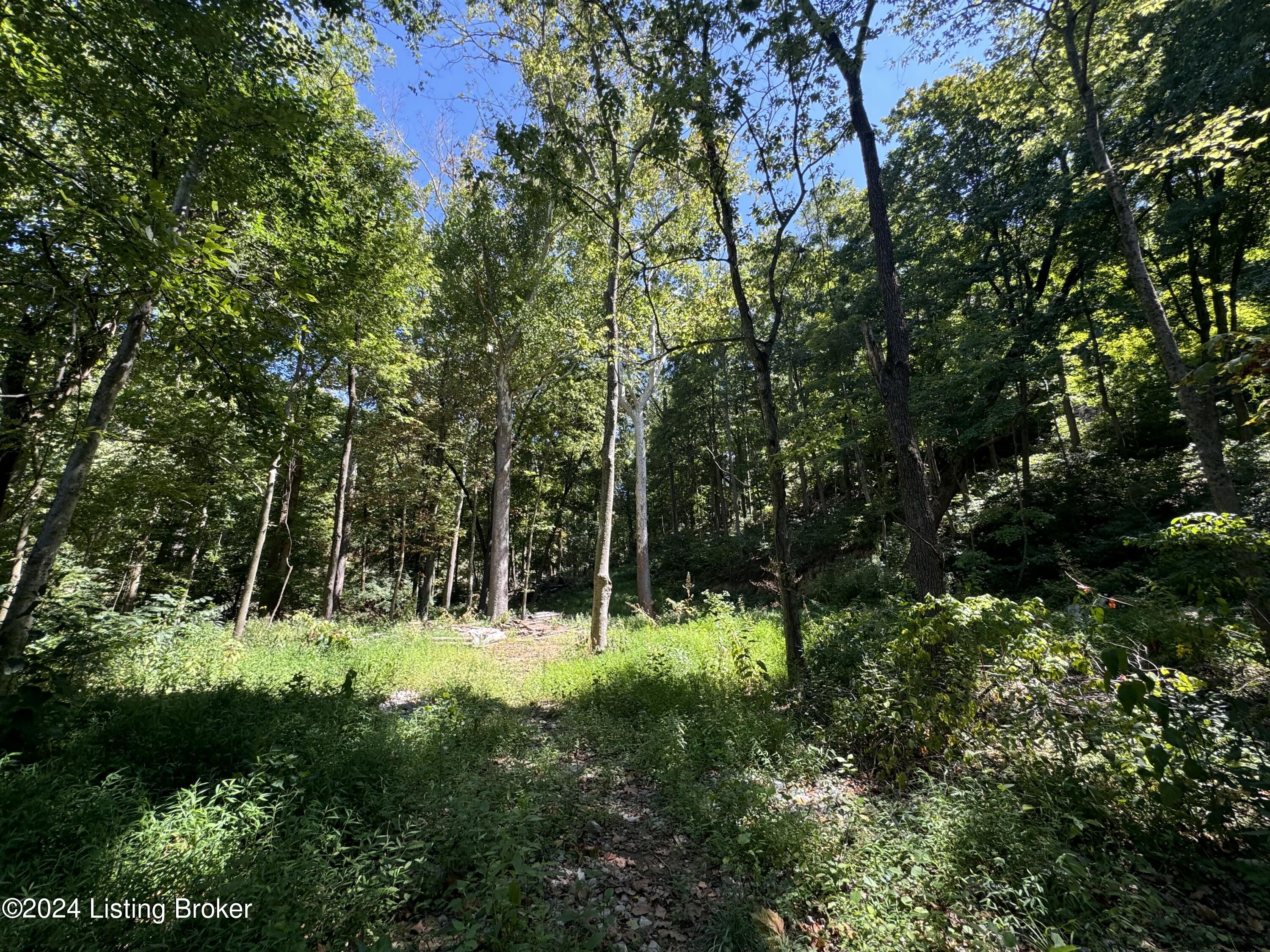 Lot 13 Rose Island Rd Property Photo 12