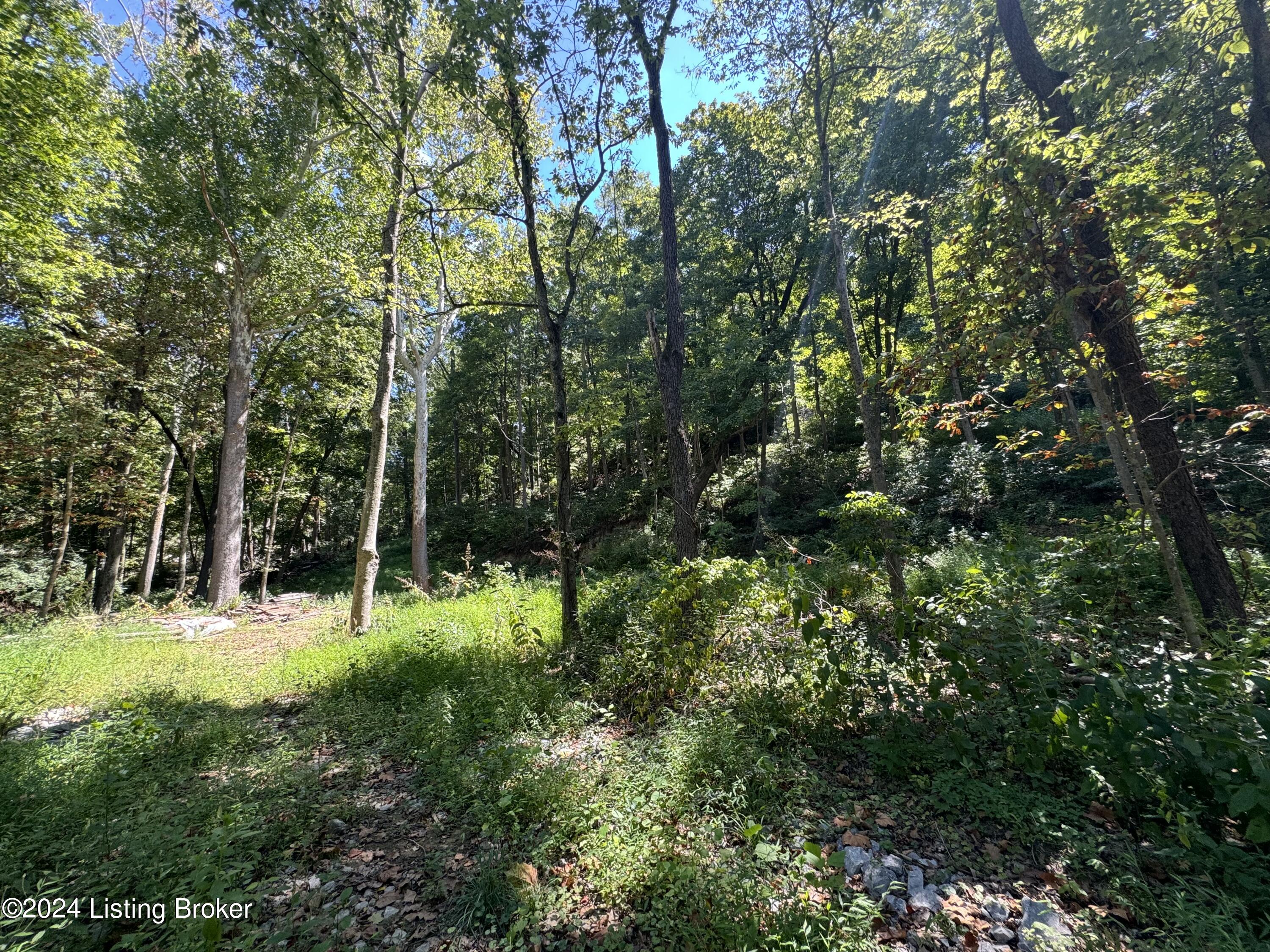 Lot 13 Rose Island Rd Property Photo 13