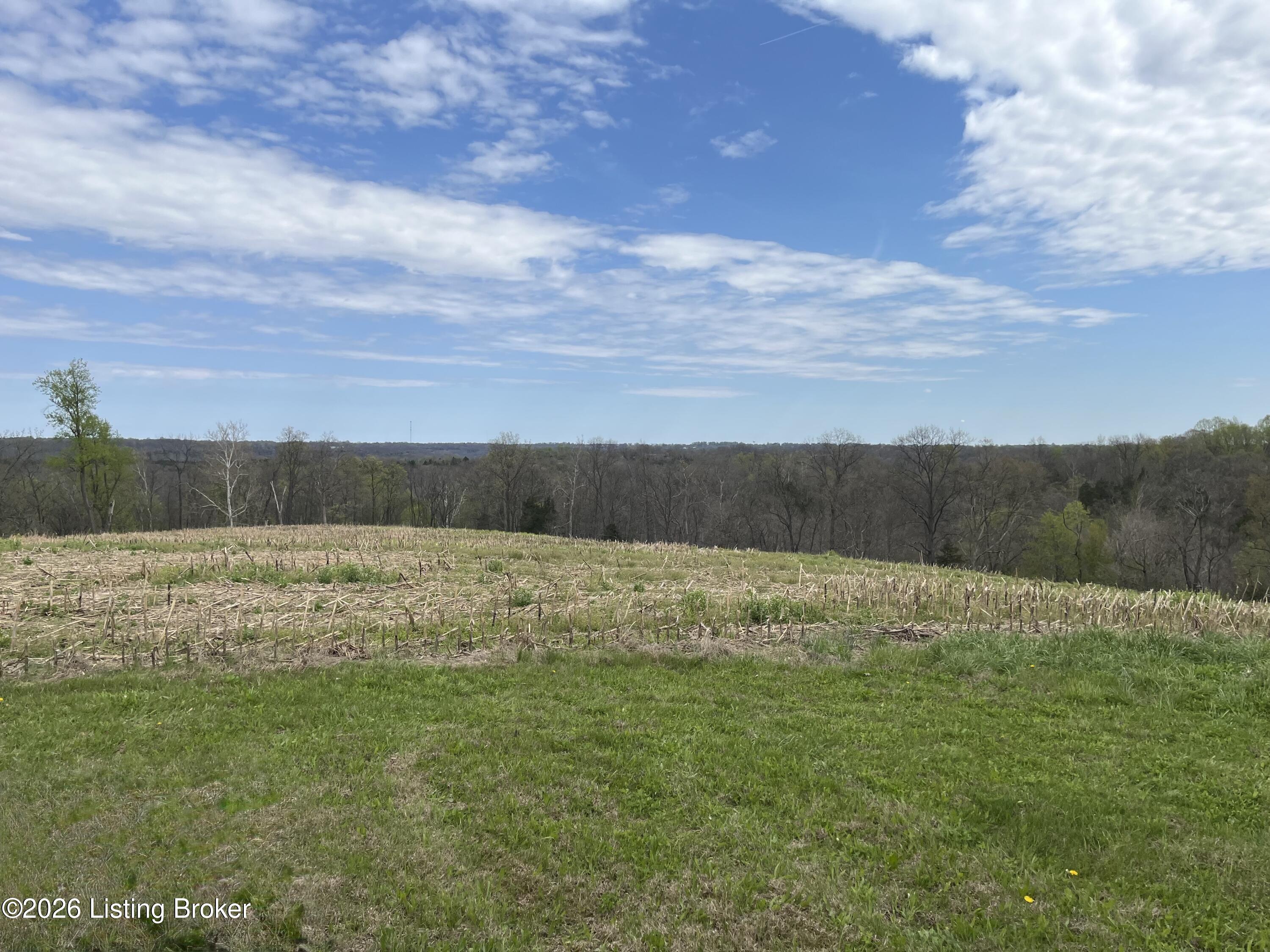 1568 Bray Ridge Rd Property Photo 9