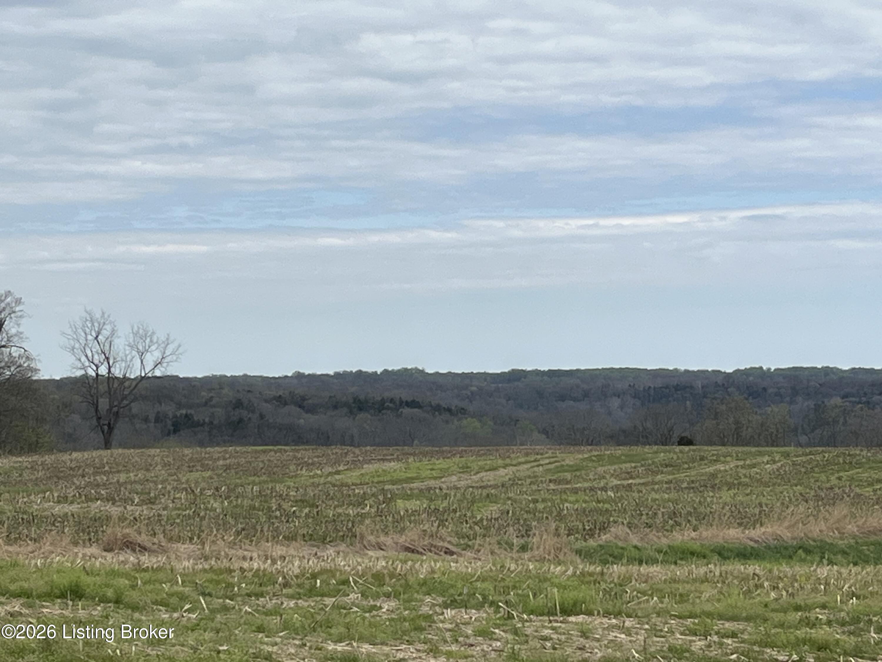 1568 Bray Ridge Rd Property Photo 14