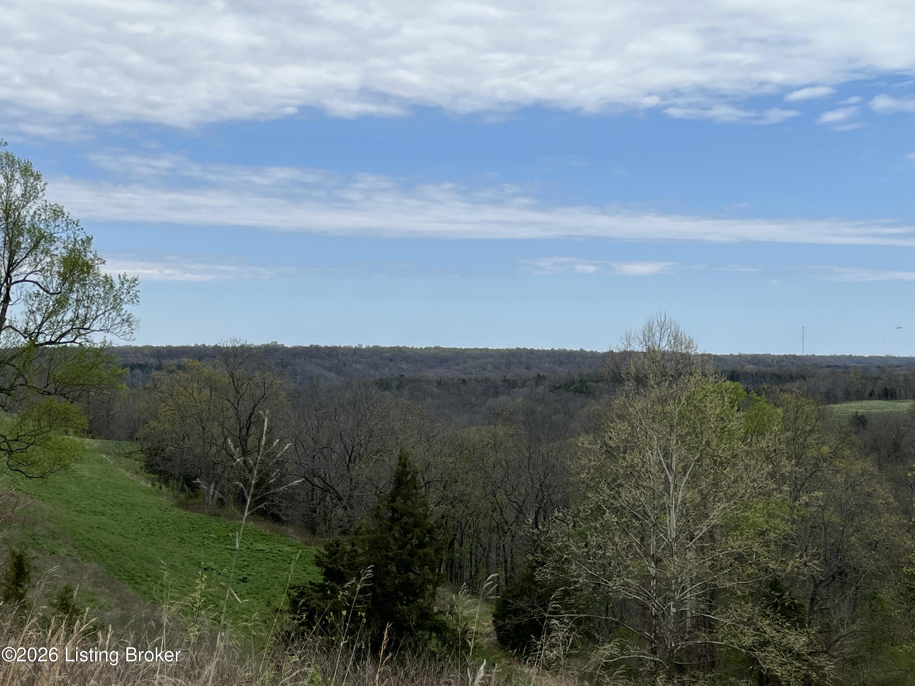 1568 Bray Ridge Rd Property Photo 23